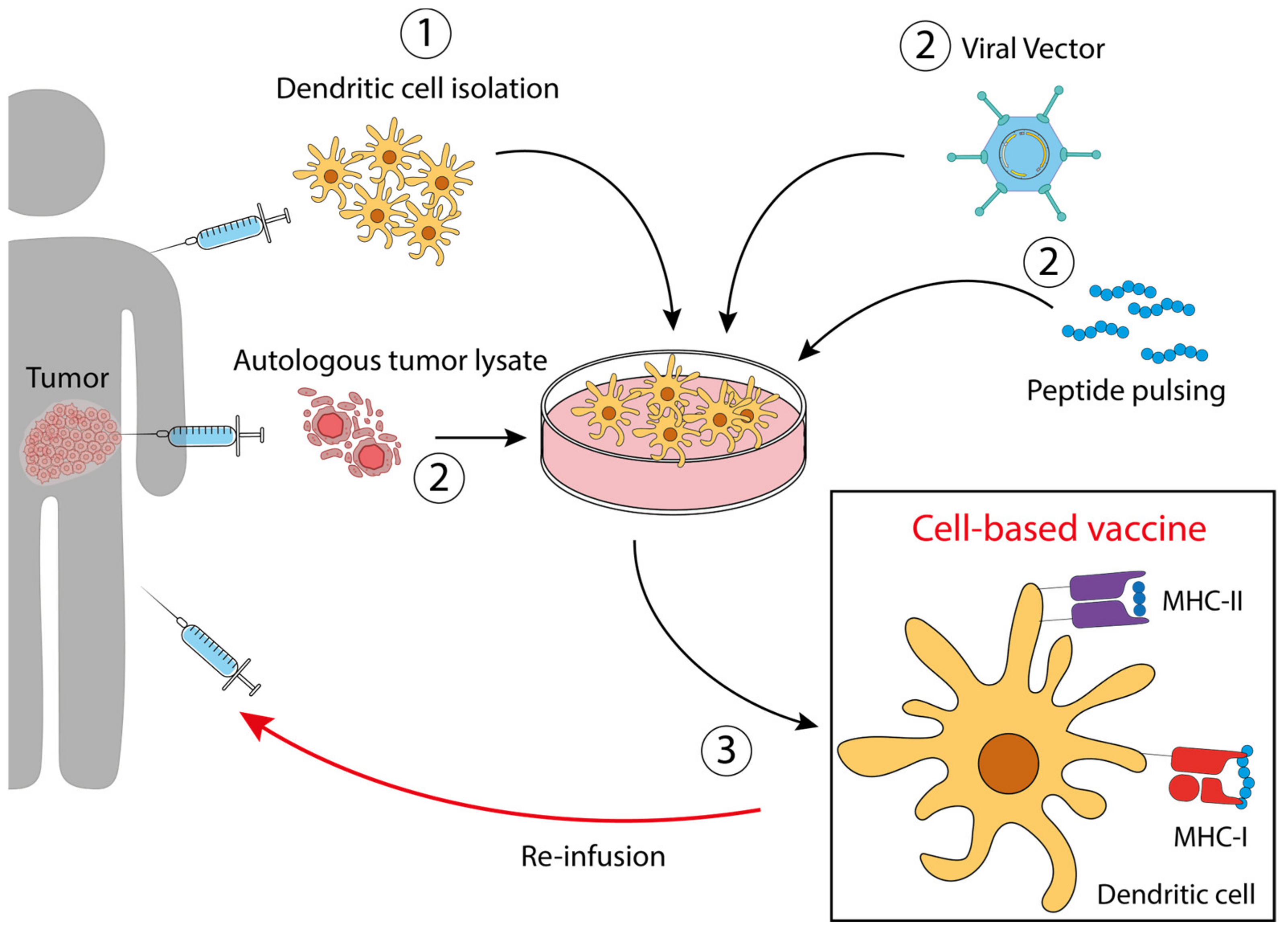 Pharmaceutics 15 01969 g002