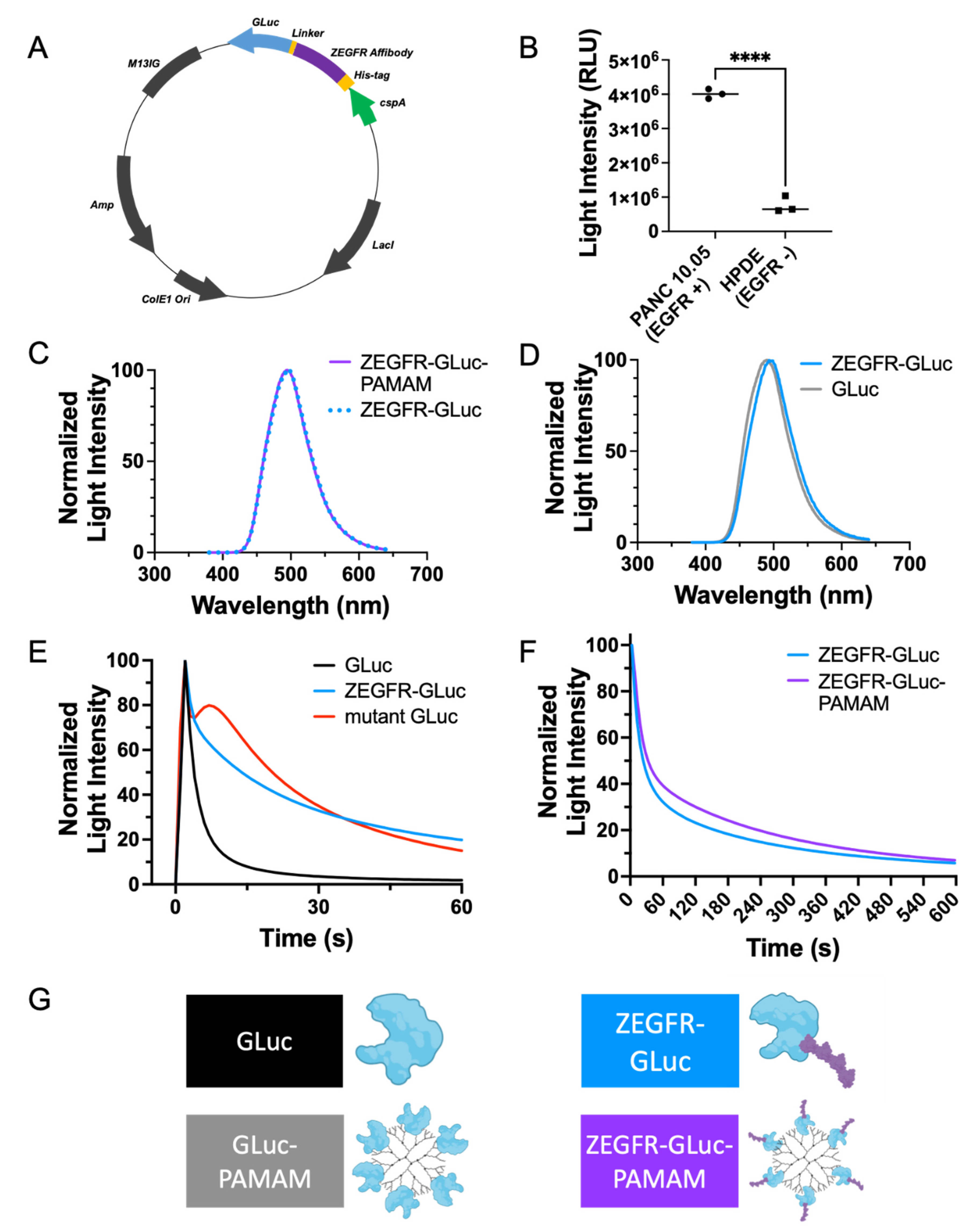 Pharmaceutics 15 01976 g002