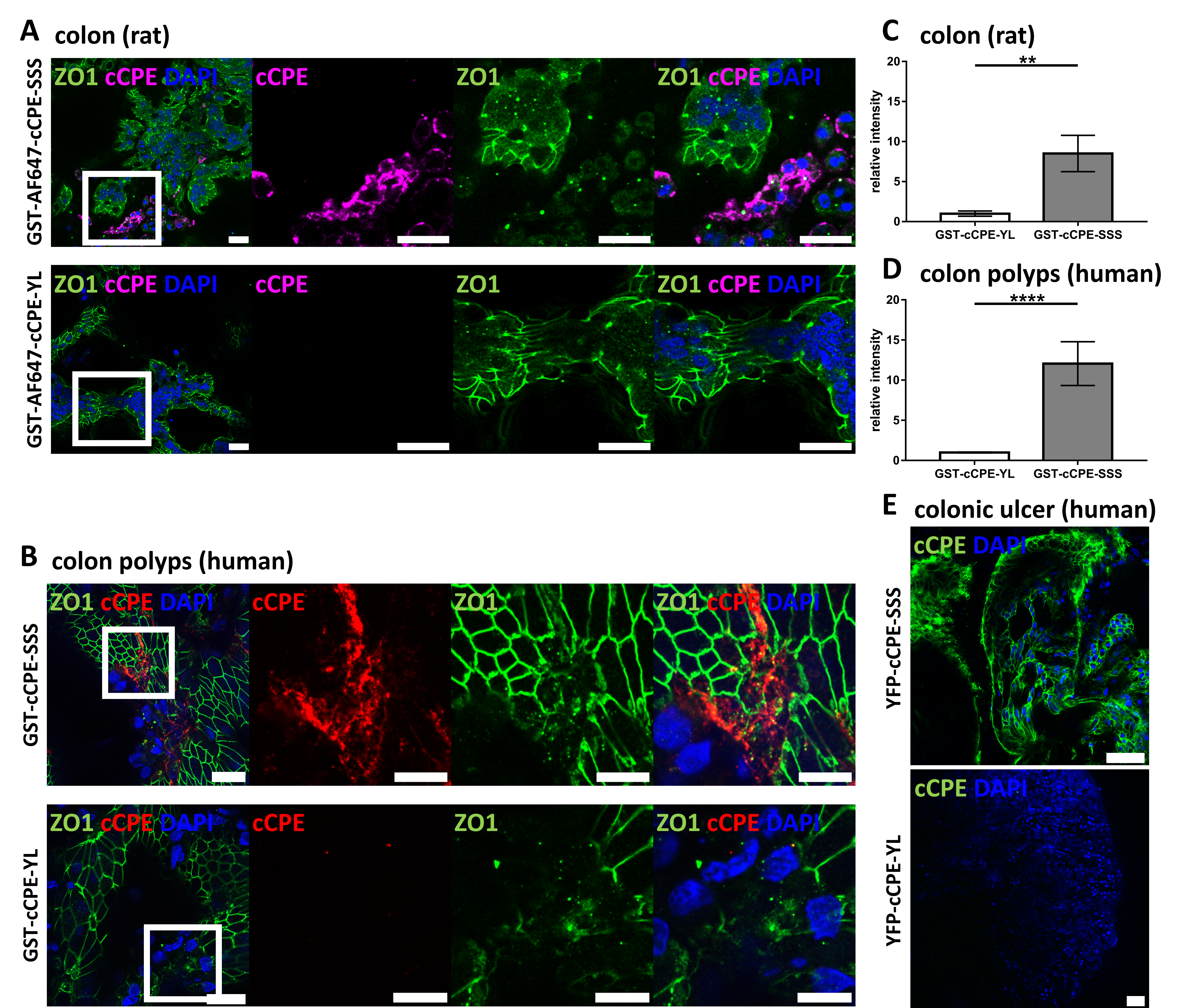 Pharmaceutics 15 01980 g003
