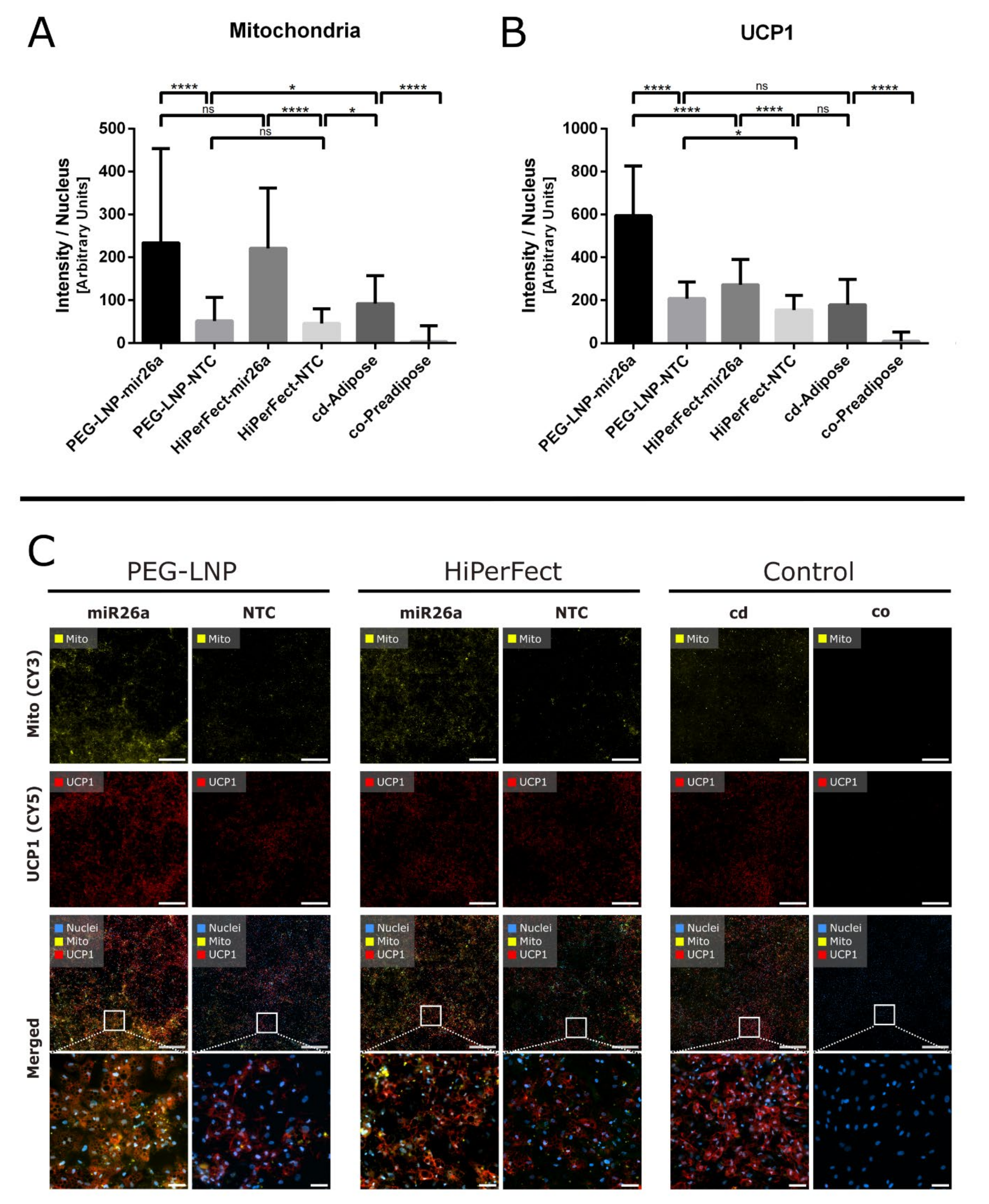 Pharmaceutics 15 01983 g006