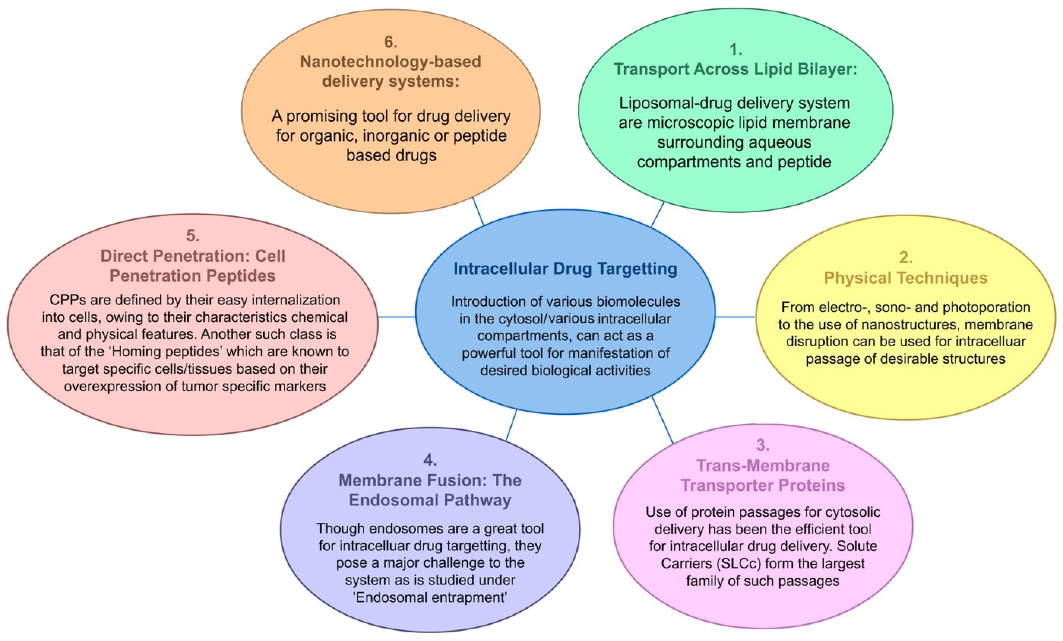 Pharmaceutics 15 01999 g001