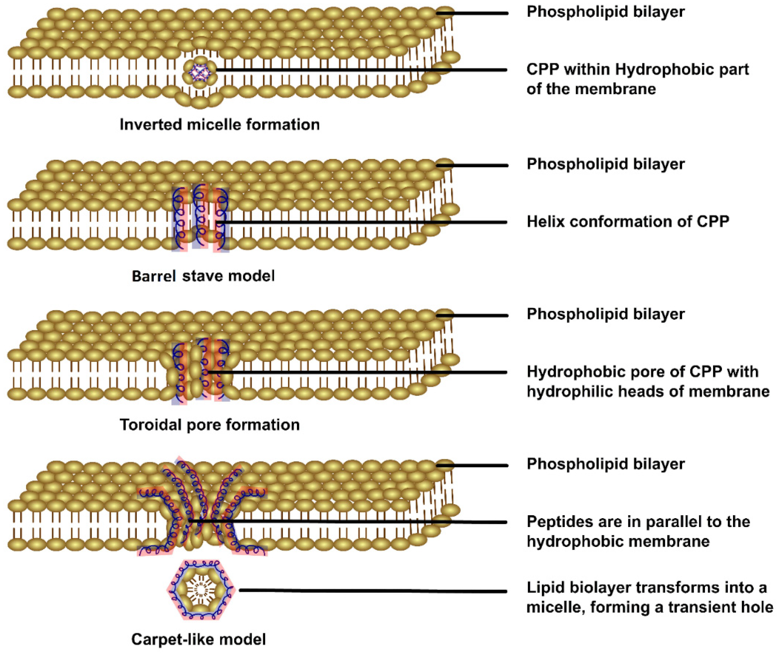 Pharmaceutics 15 01999 g002