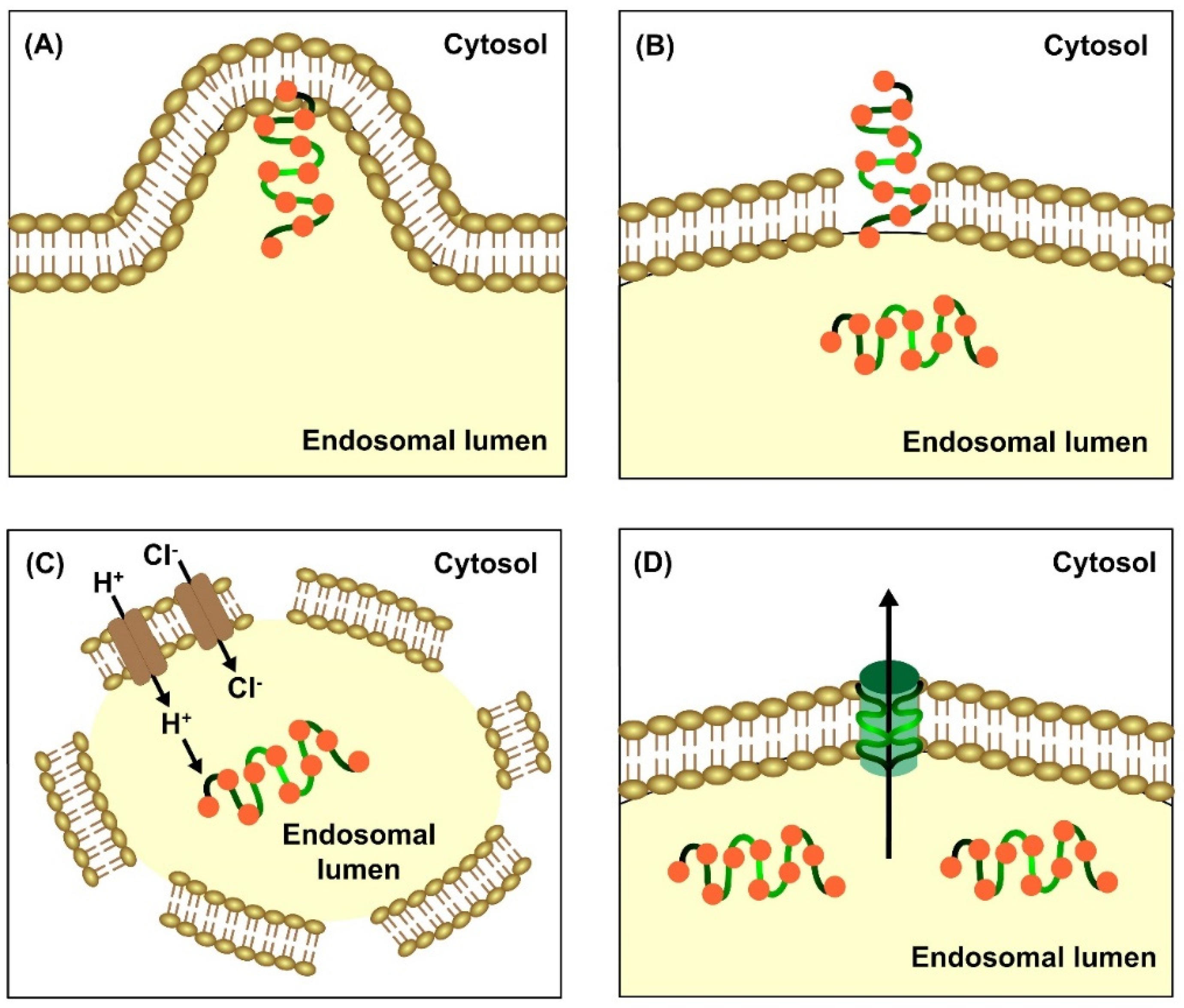 Pharmaceutics 15 01999 g003