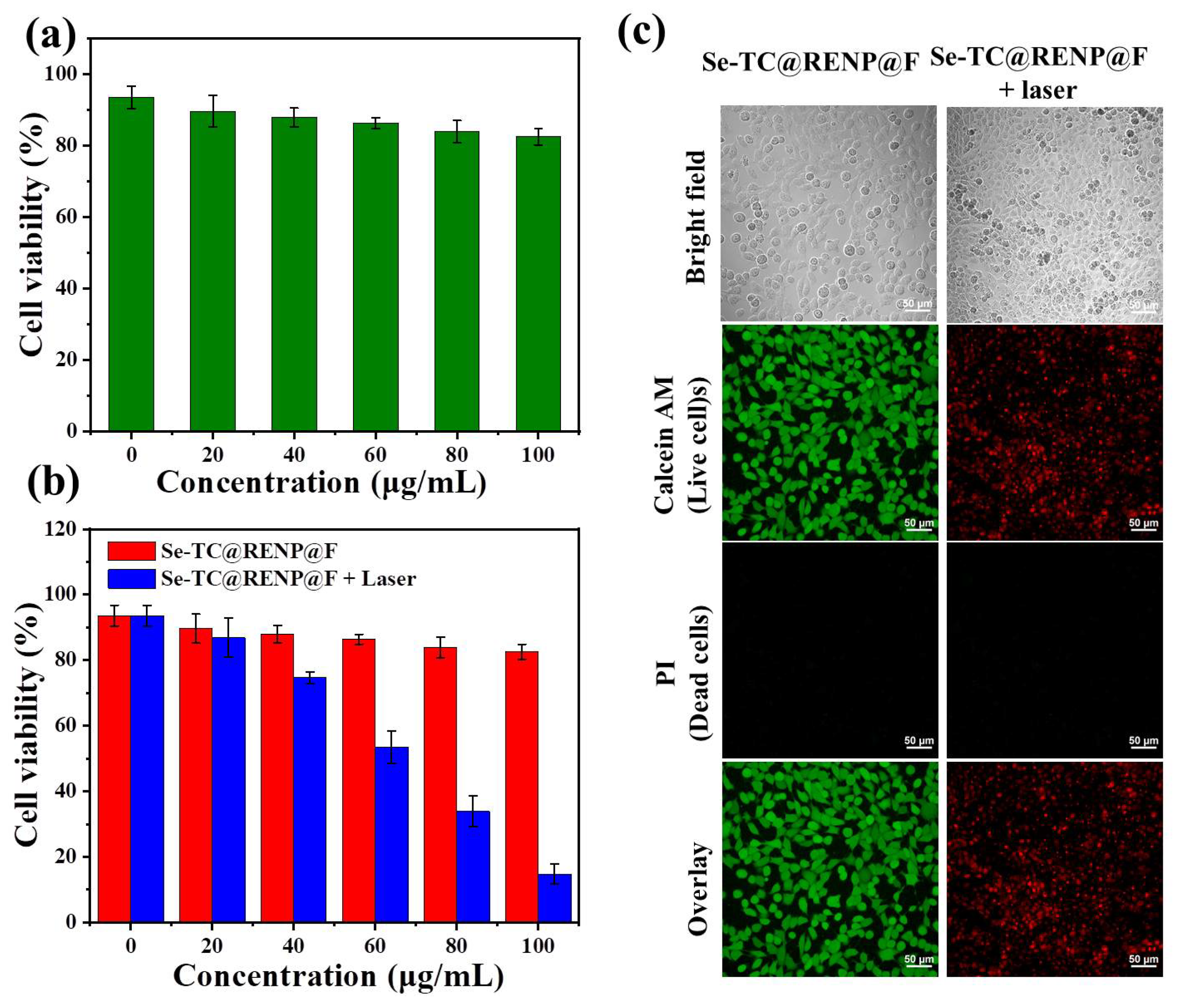 Pharmaceutics 15 02027 g004 Pharmaceutics 15 02027 g004