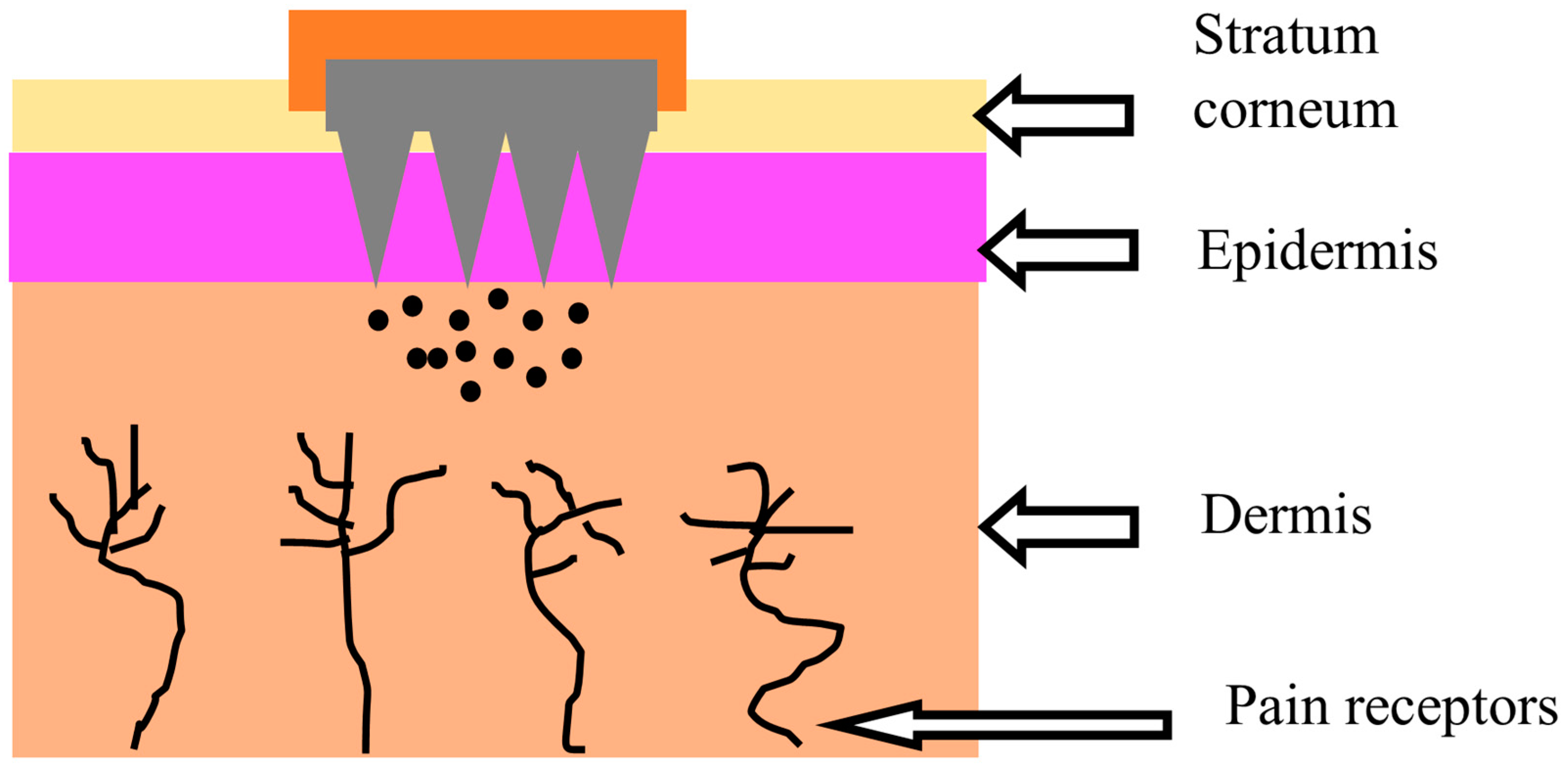 Pharmaceutics 15 02029 g001 Pharmaceutics 15 02029 g001