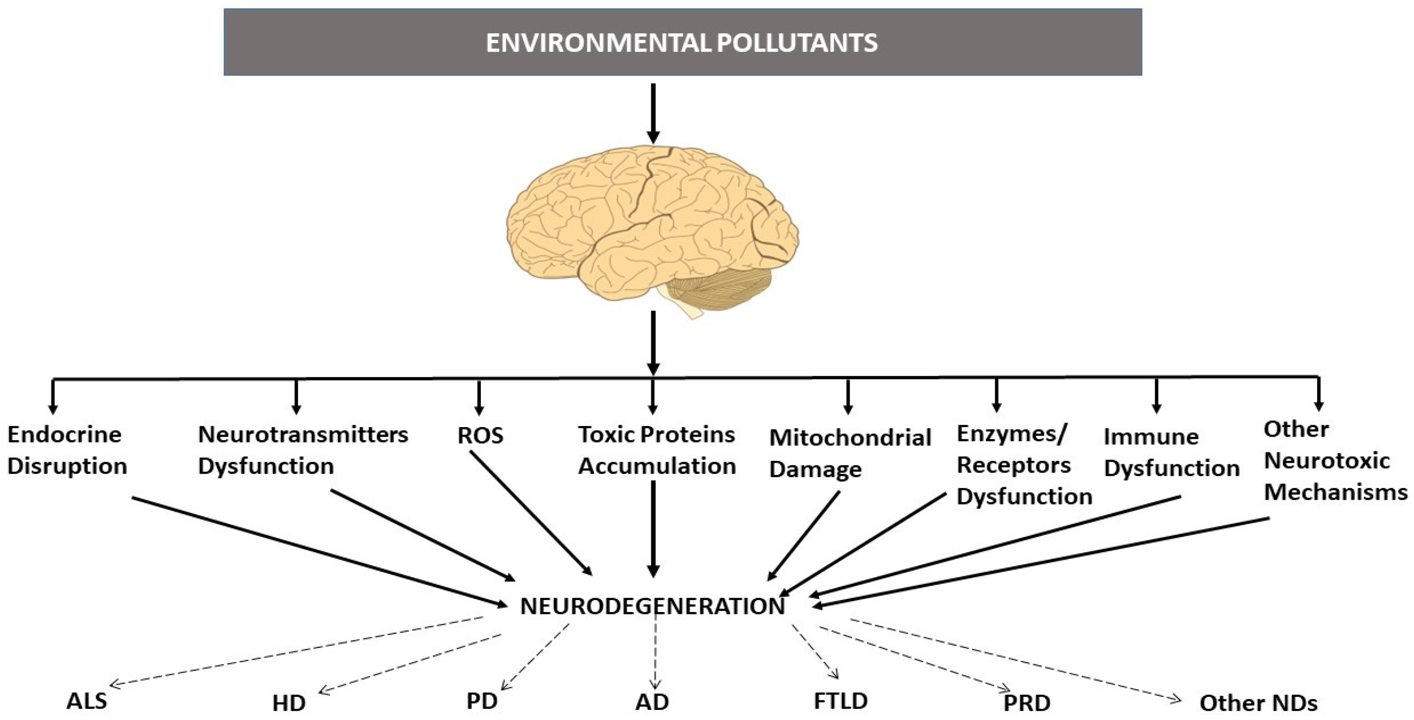 Pharmaceutics 15 02048 g001