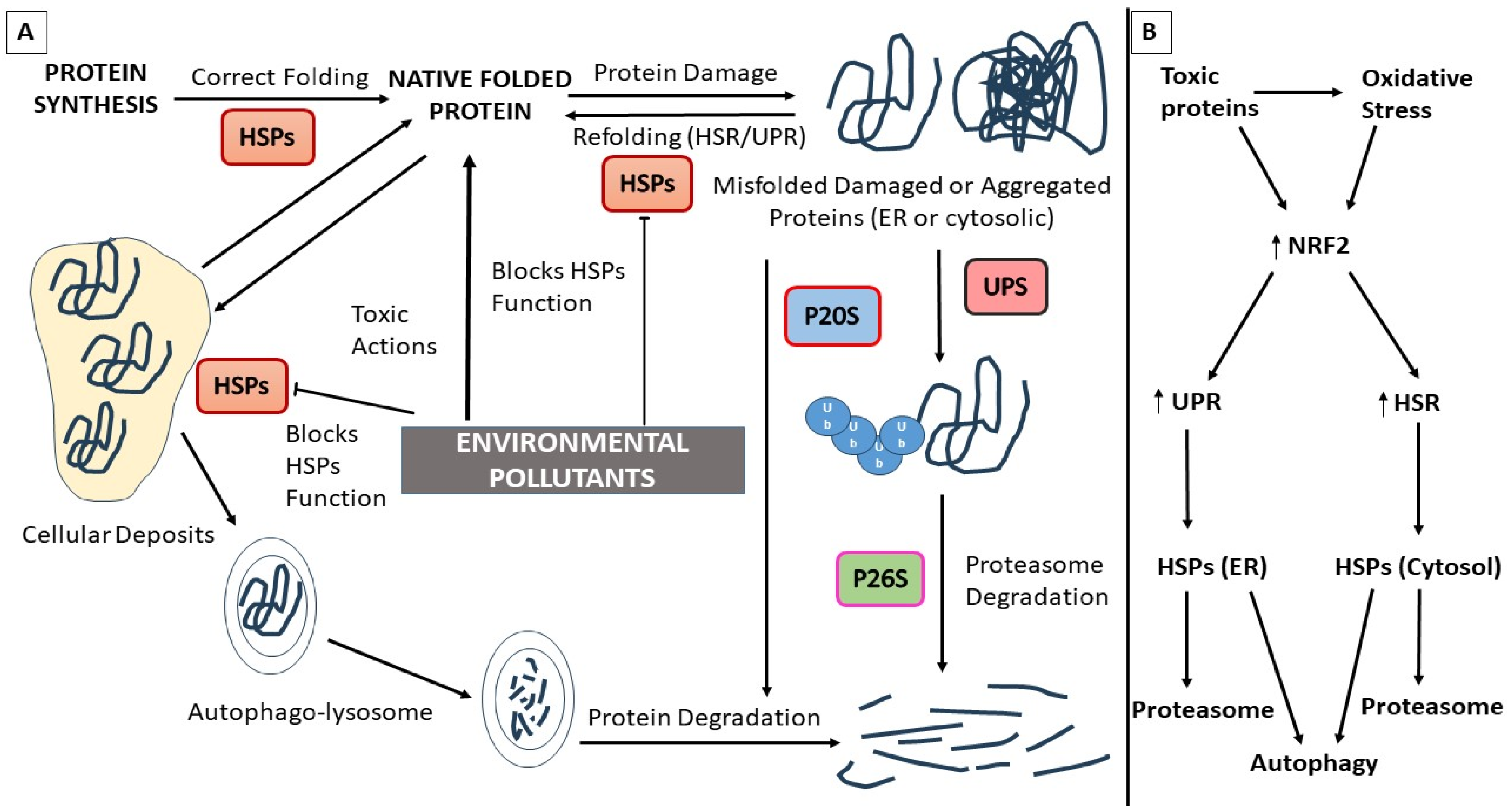 Pharmaceutics 15 02048 g002