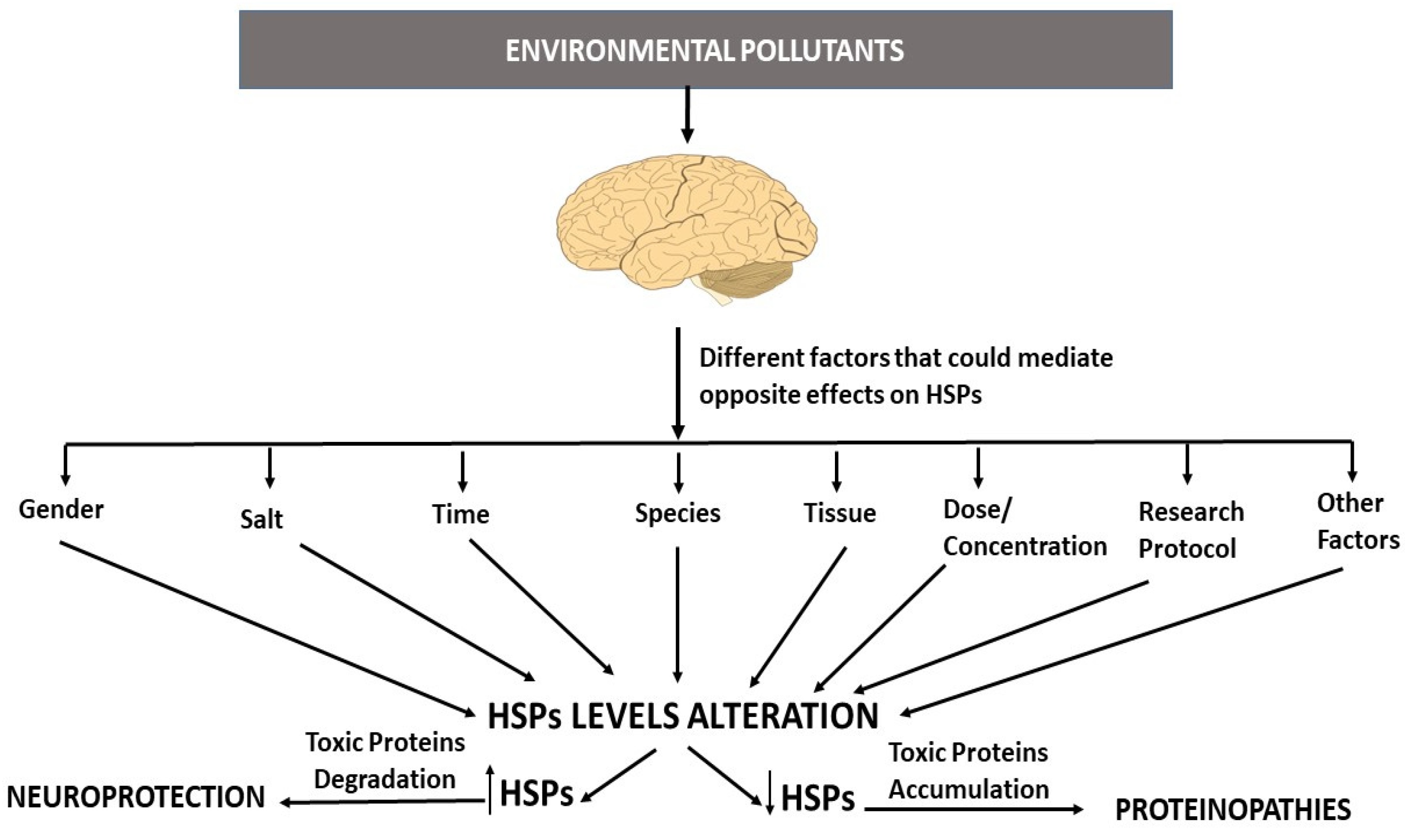 Pharmaceutics 15 02048 g003