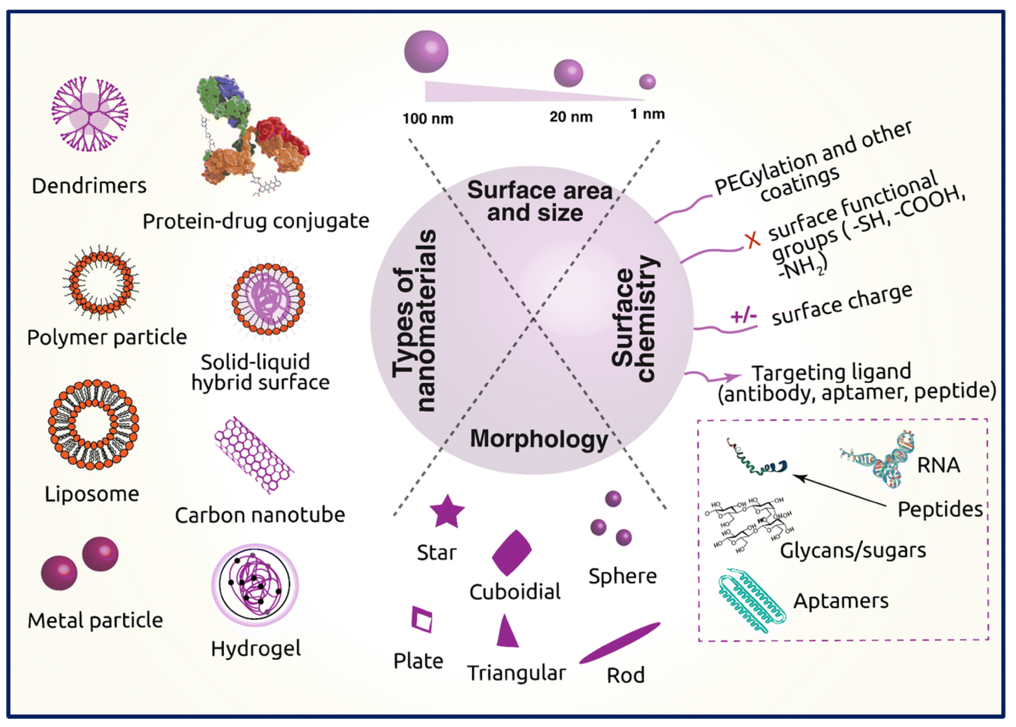 Pharmaceutics 15 02064 g008 Pharmaceutics 15 02064 g008