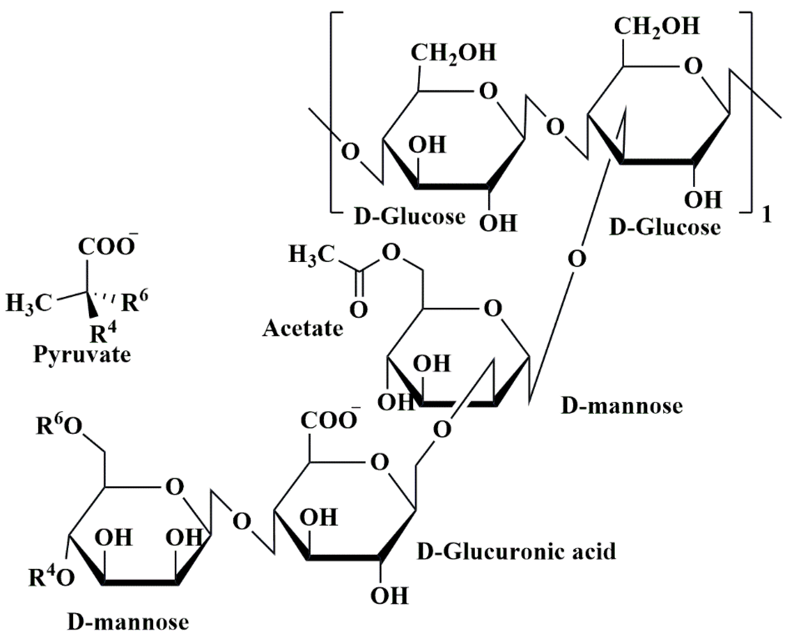 Pharmaceutics 15 02064 g013 Pharmaceutics 15 02064 g013