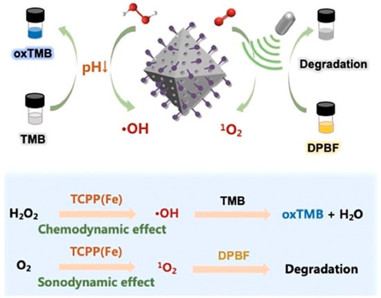 Pharmaceutics | Free Full-Text | A Novel Platform Of MOF For ...