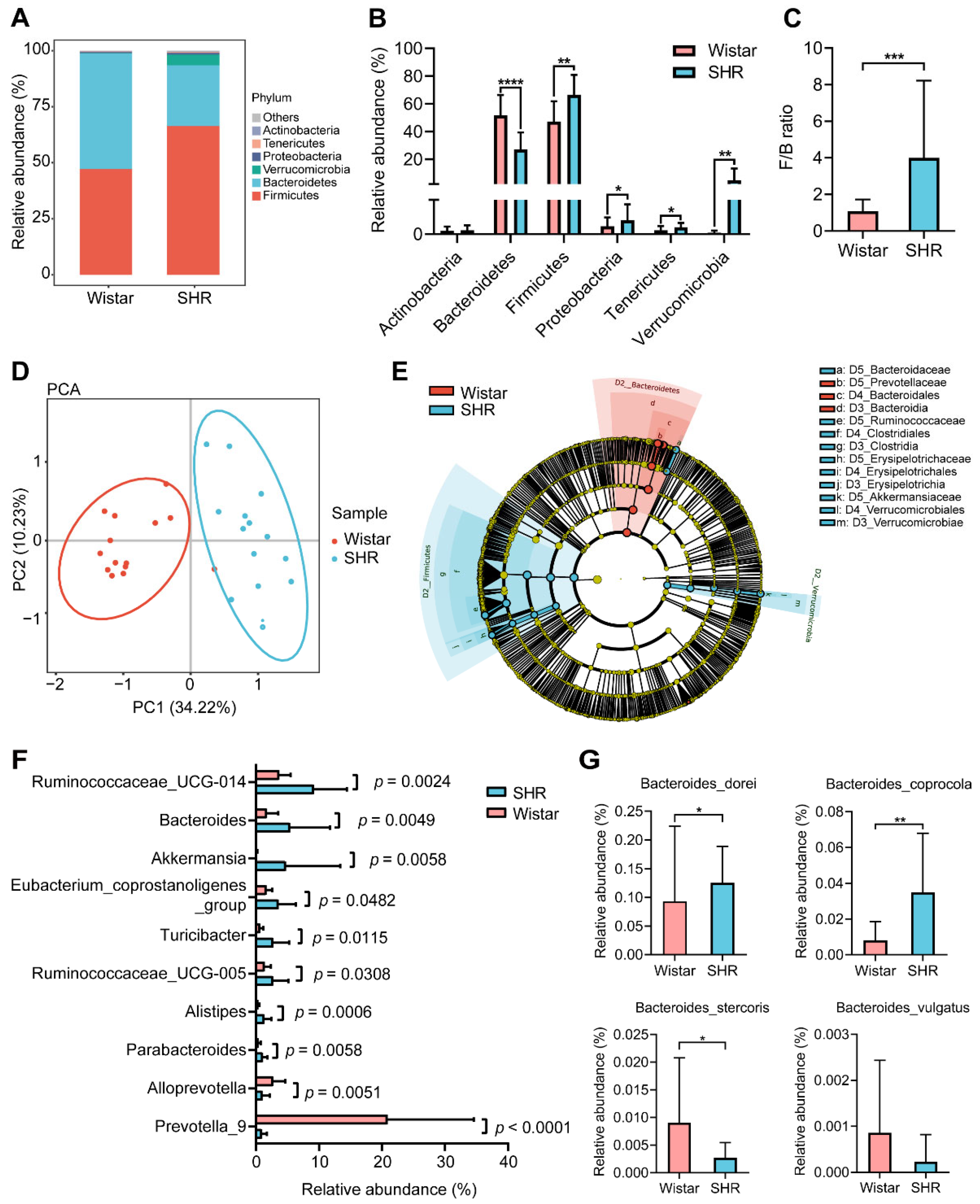 Pharmaceutics 15 02085 g002