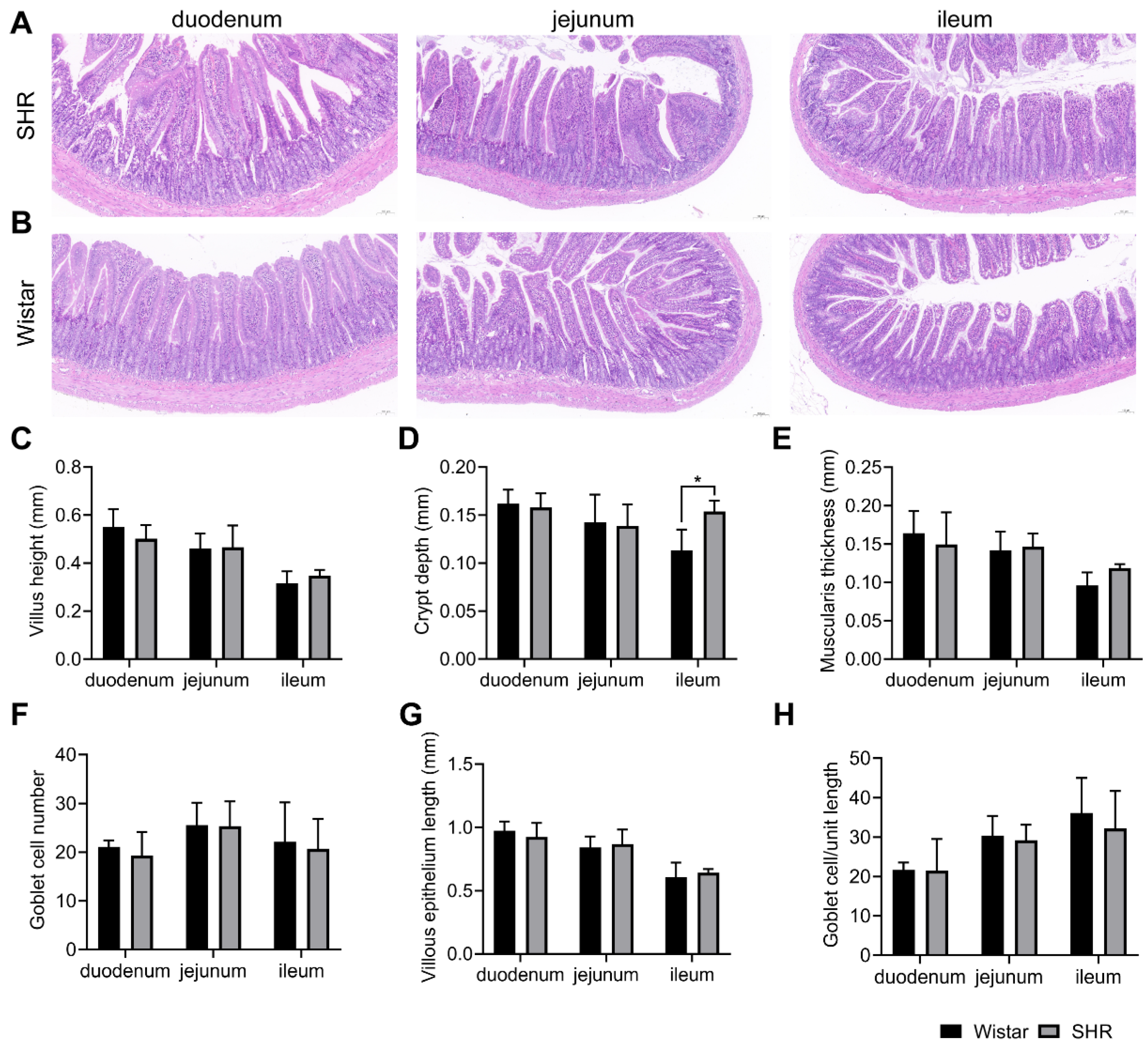 Pharmaceutics 15 02085 g009