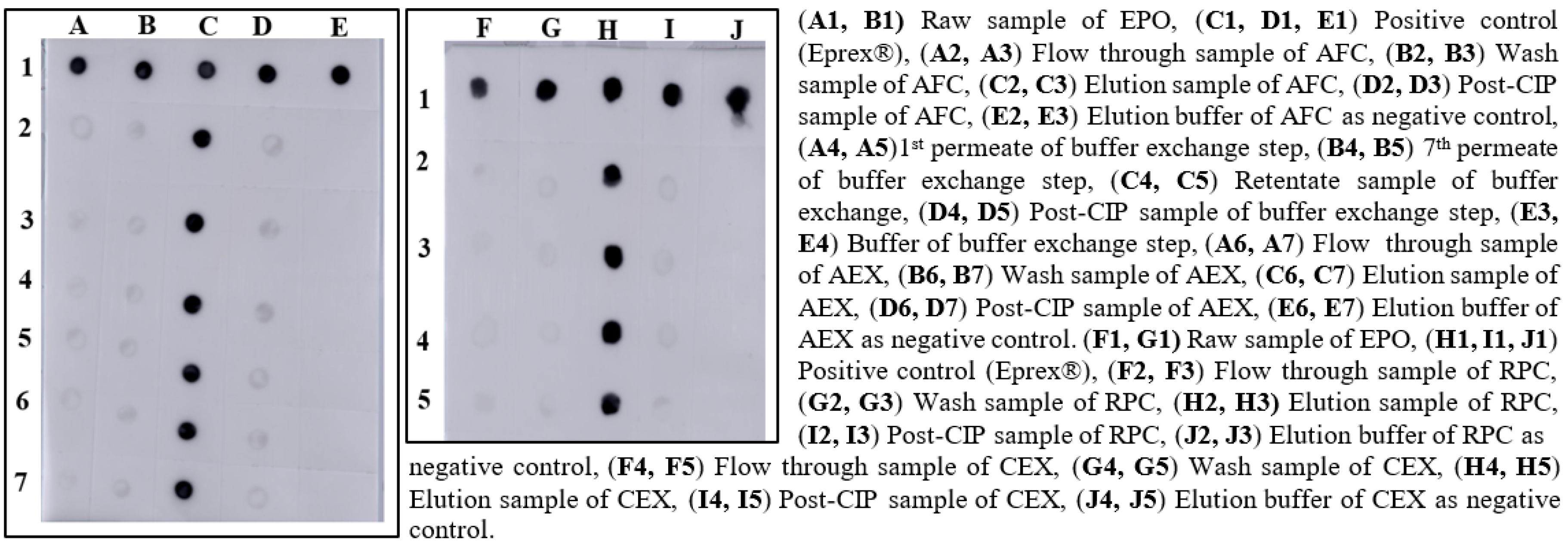 Pharmaceutics 15 02087 g001