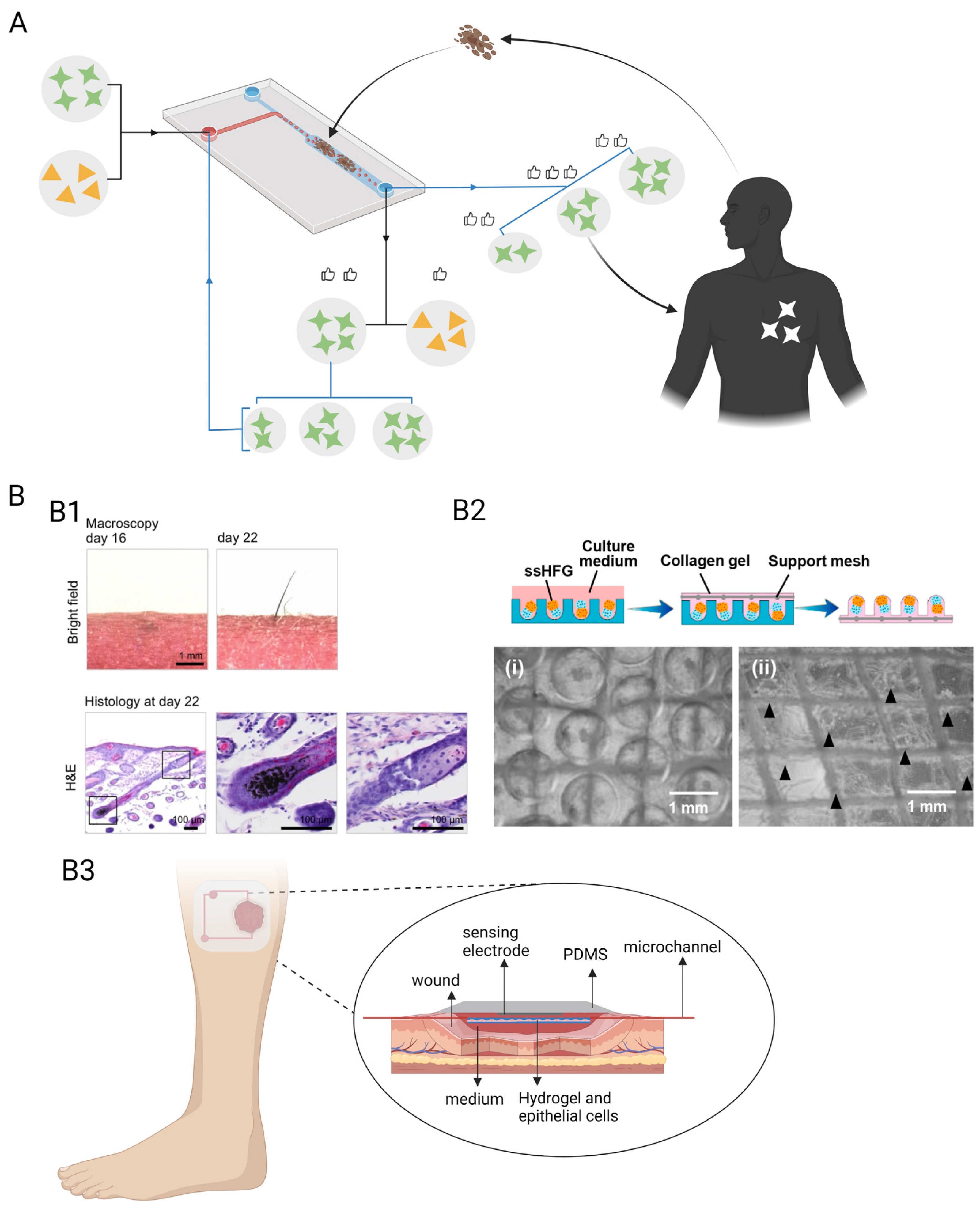 Pharmaceutics 15 02094 g006