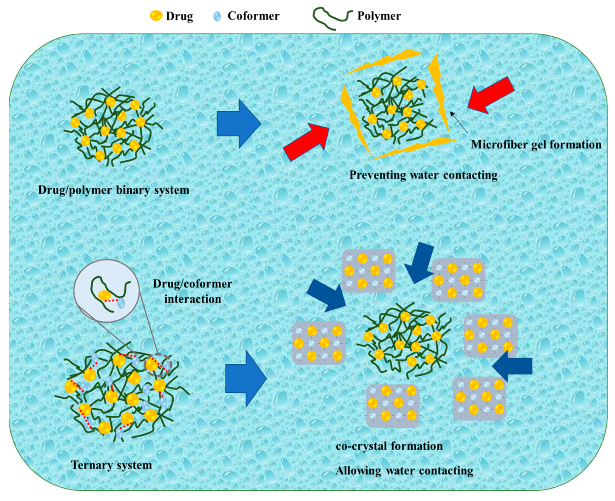 Pharmaceutics 15 02116 g005 Pharmaceutics 15 02116 g005