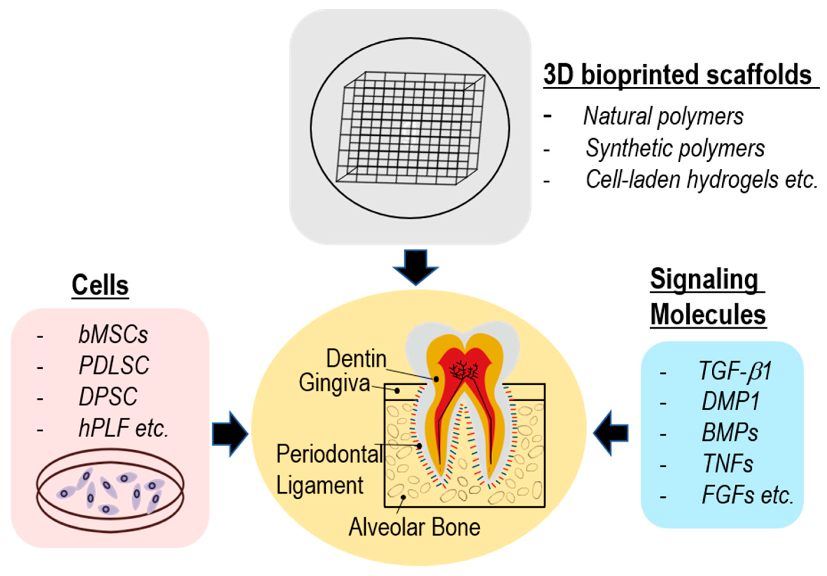 Pharmaceutics 15 02118 g001 Pharmaceutics 15 02118 g001