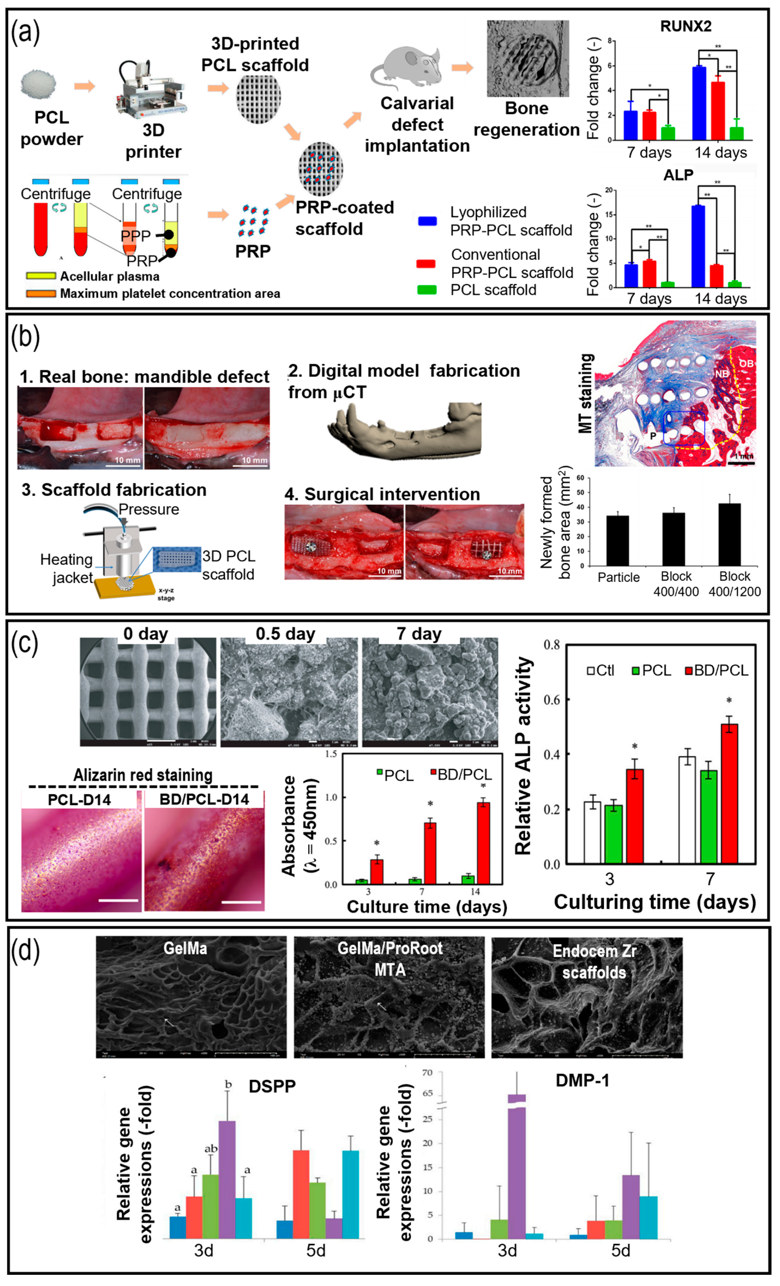 Pharmaceutics 15 02118 g003 Pharmaceutics 15 02118 g003