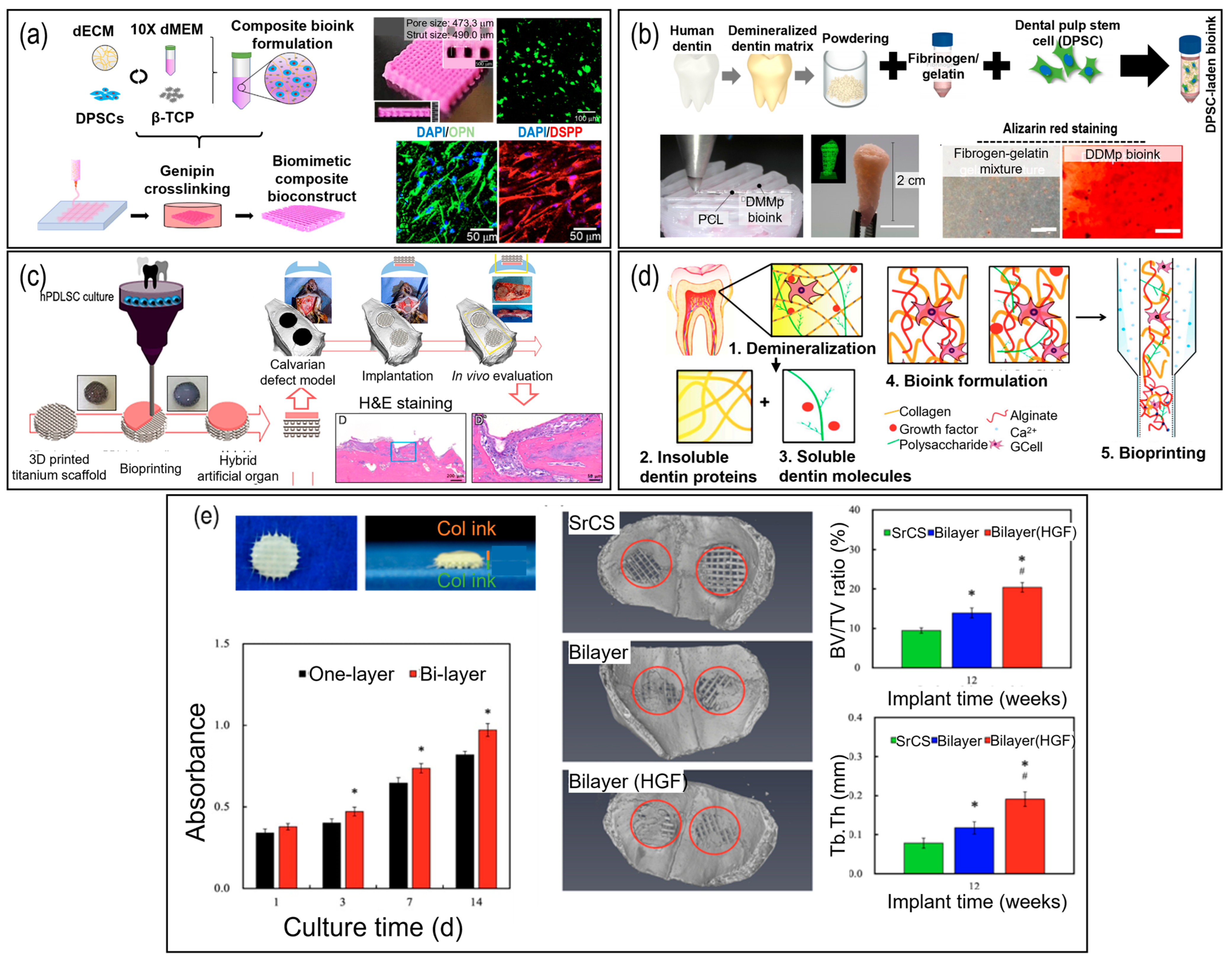 Pharmaceutics 15 02118 g004 Pharmaceutics 15 02118 g004