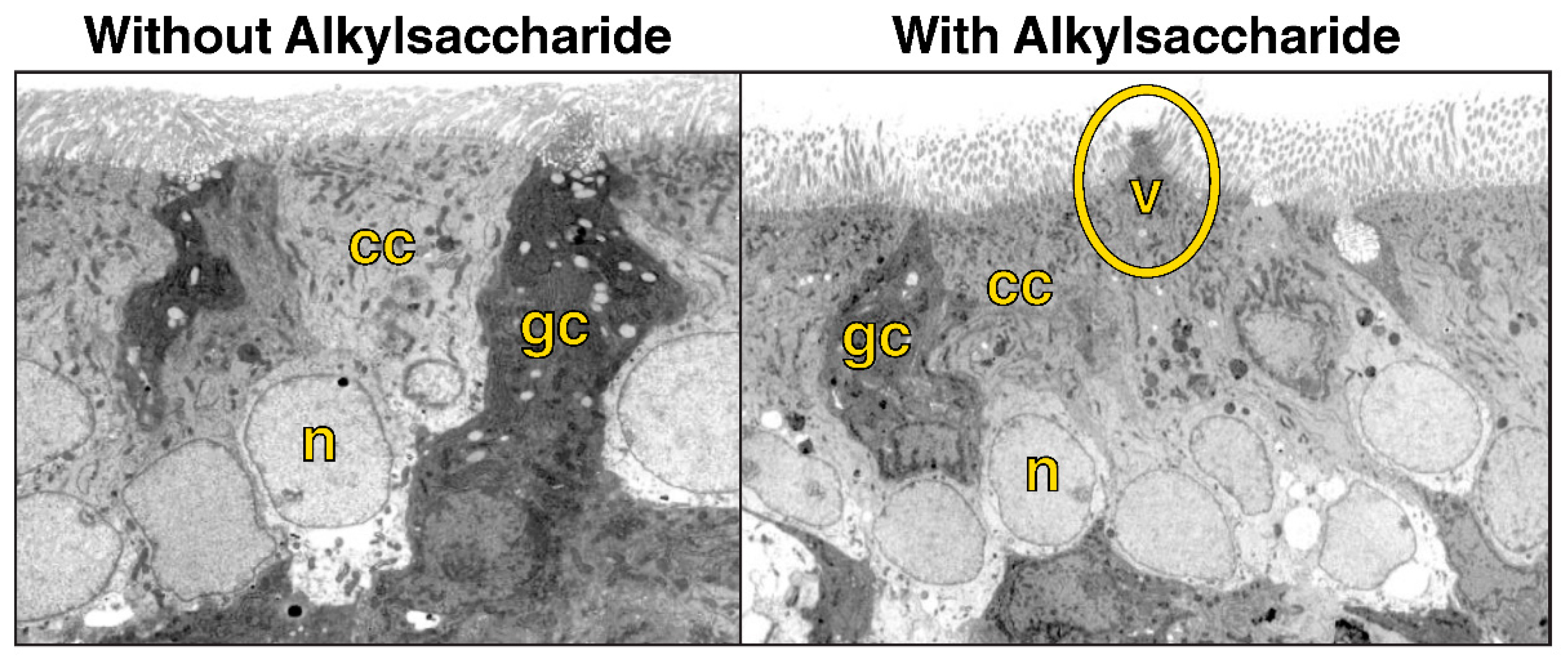 Pharmaceutics 15 02119 g005 Pharmaceutics 15 02119 g005