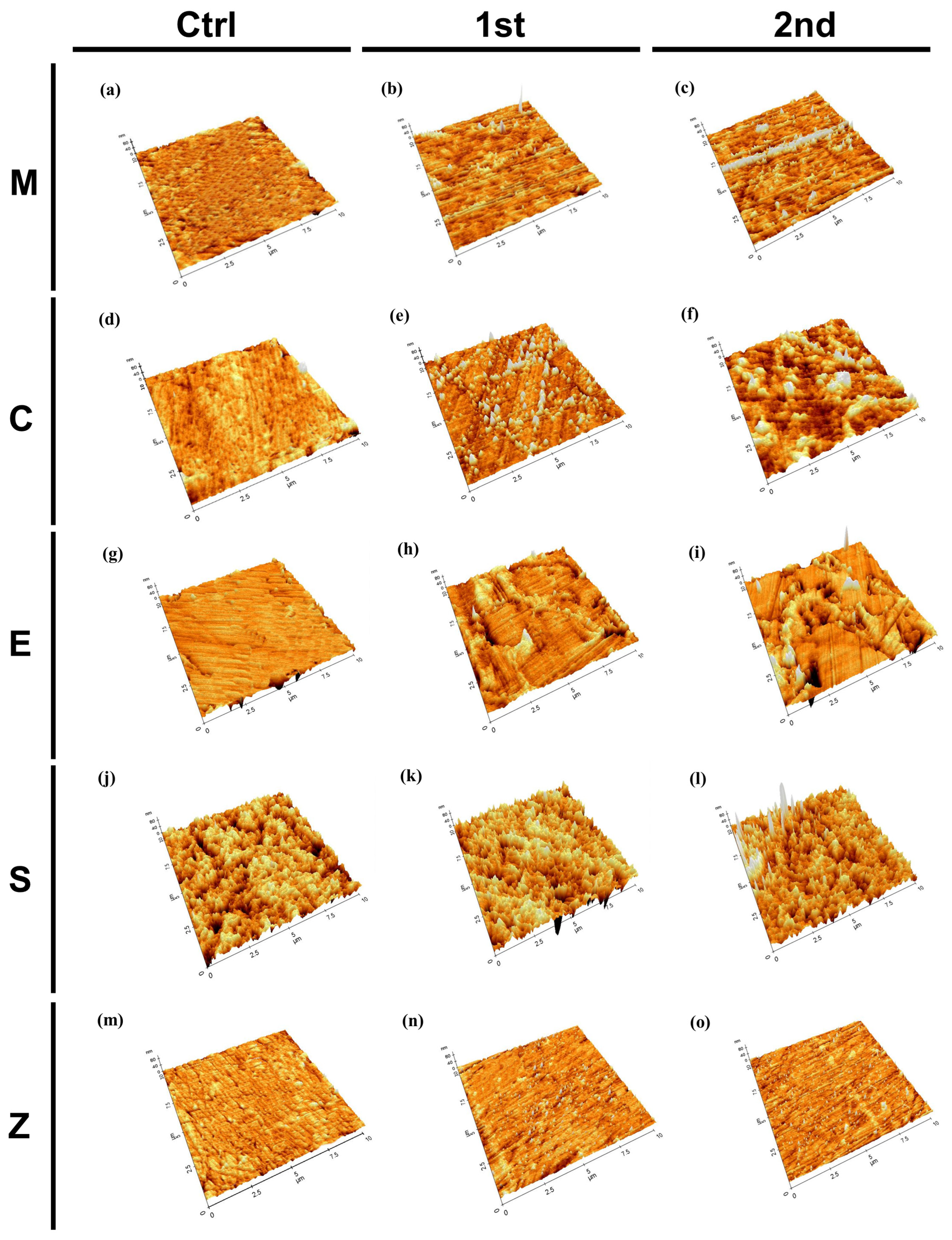 Pharmaceutics 15 02122 g004 Pharmaceutics 15 02122 g004