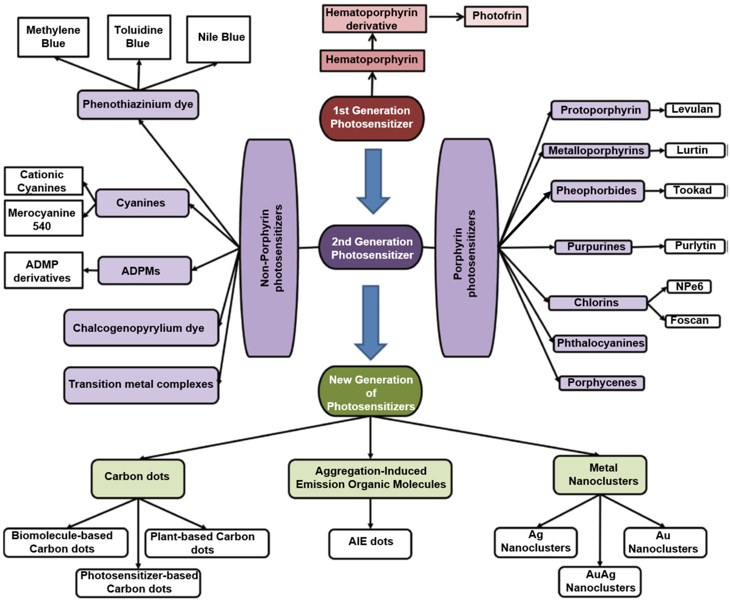 Pharmaceutics | Free Full-Text | Photosensitizers-Loaded Nanocarriers ...