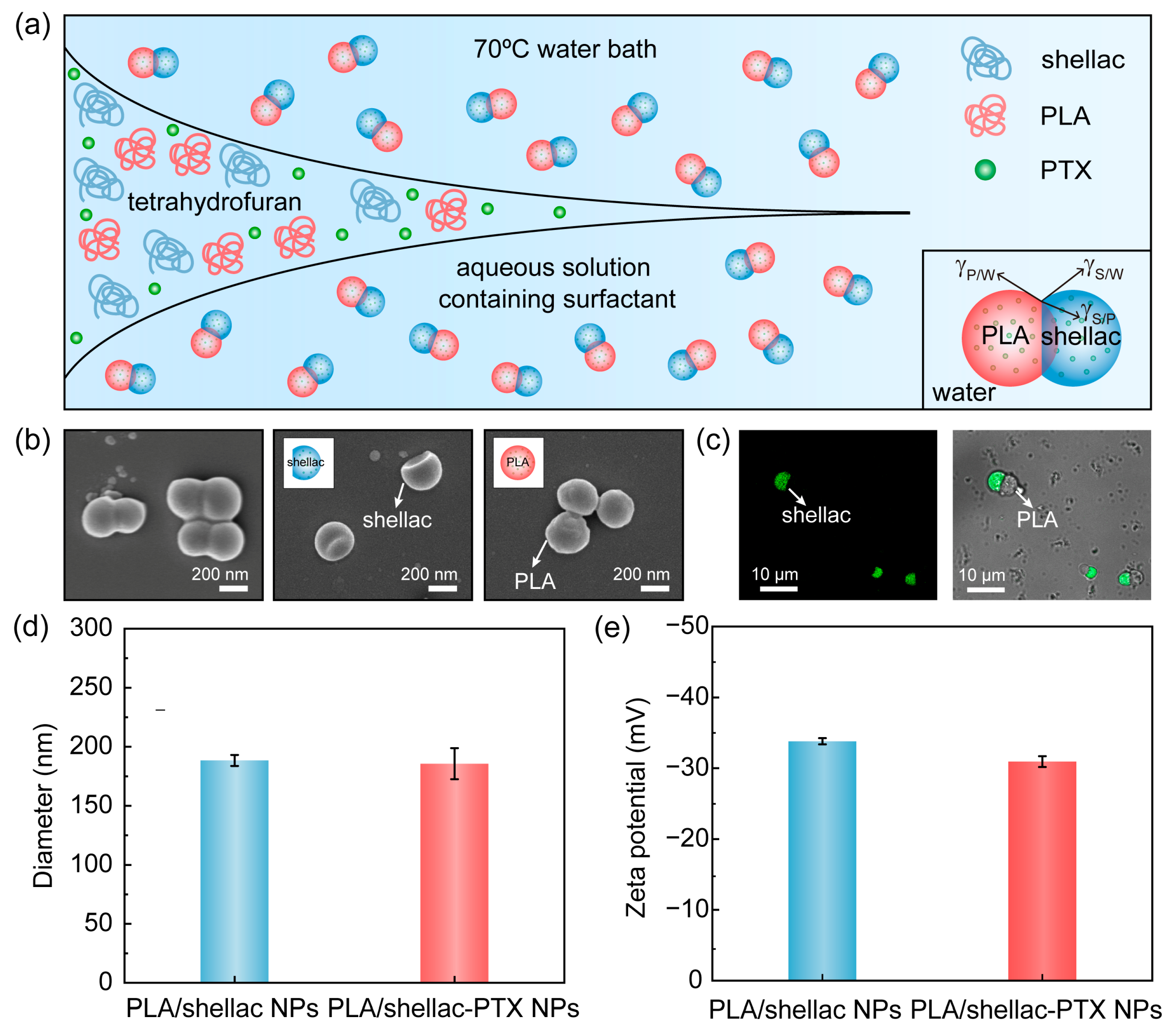 Pharmaceutics | Free Full-Text | Biocompatible Snowman-like Dimer