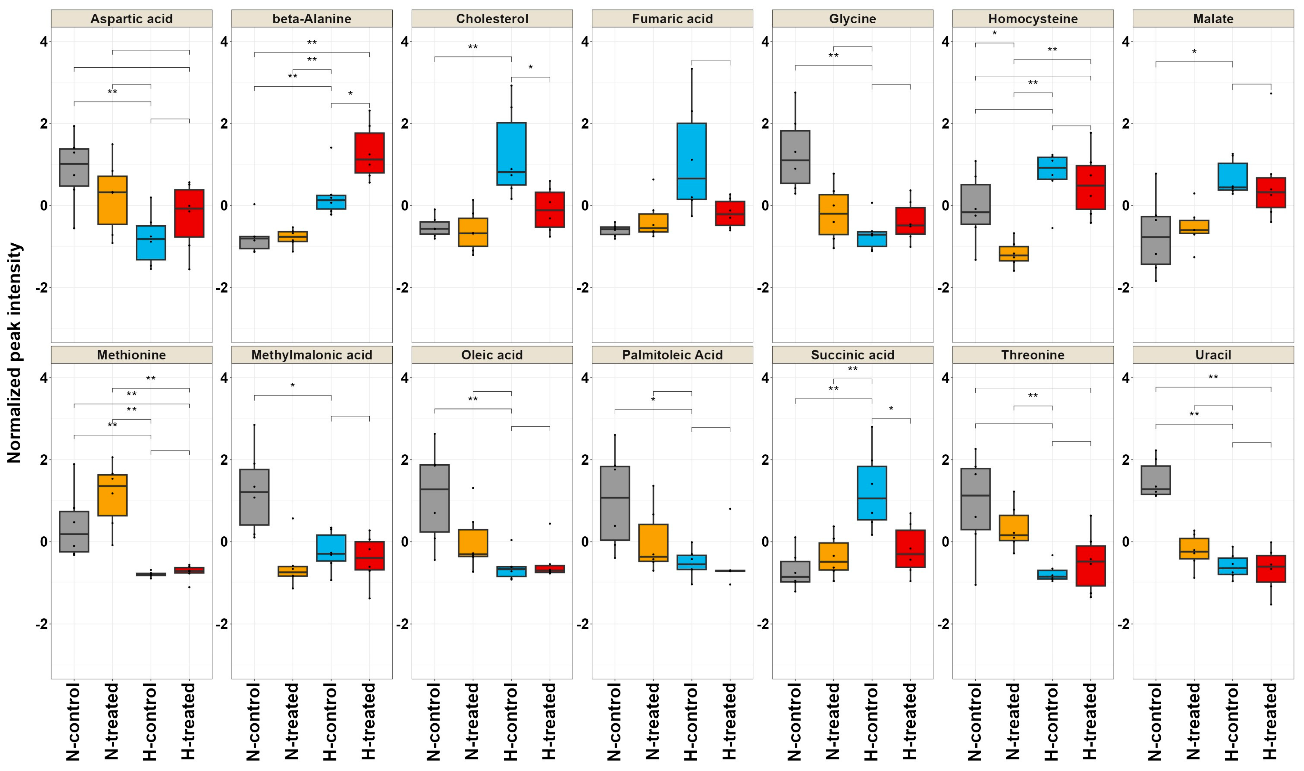 Pharmaceutics Free Full Text The Impact of Pigment Epithelium