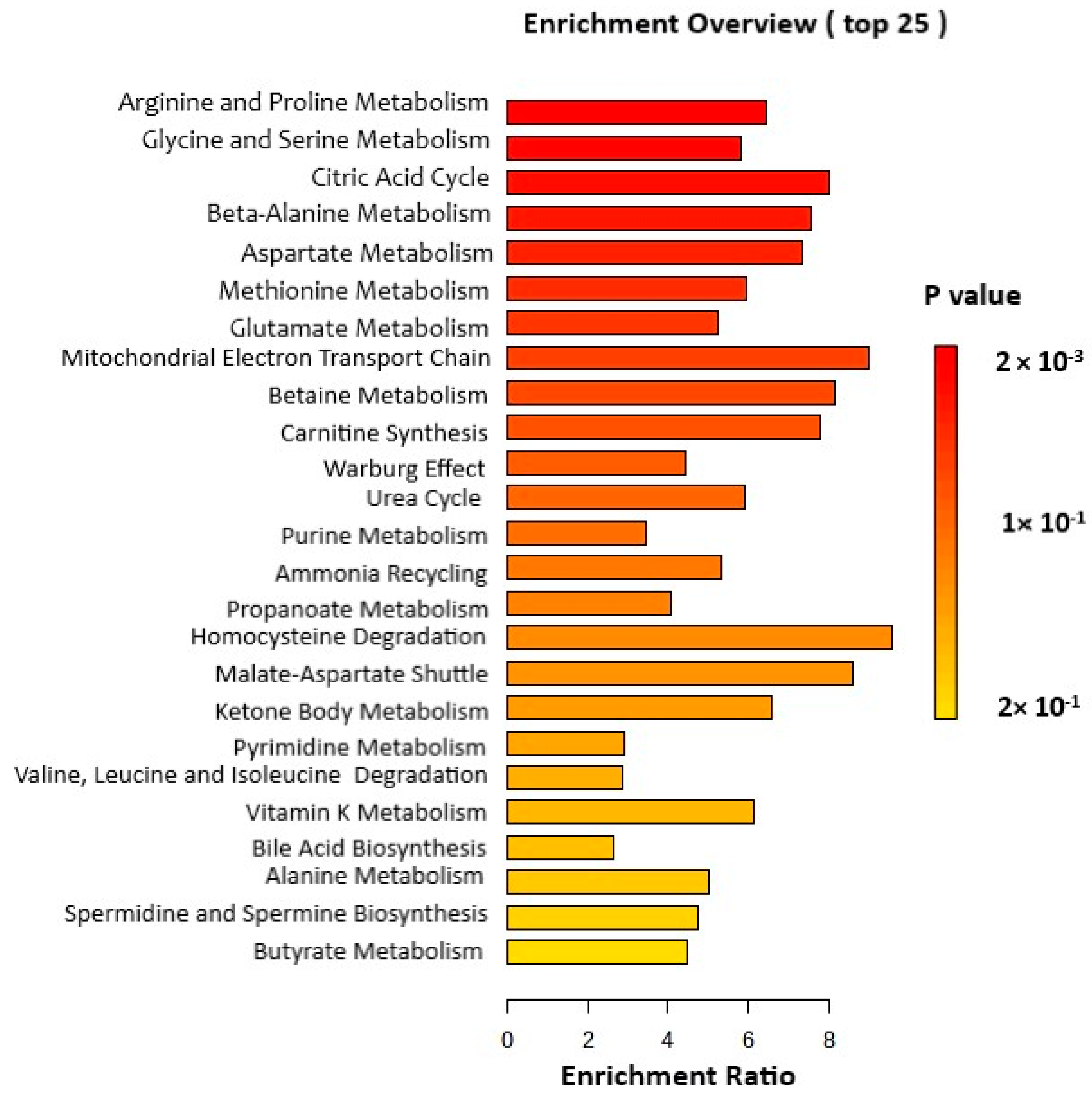 Pharmaceutics Free Full Text The Impact of Pigment Epithelium