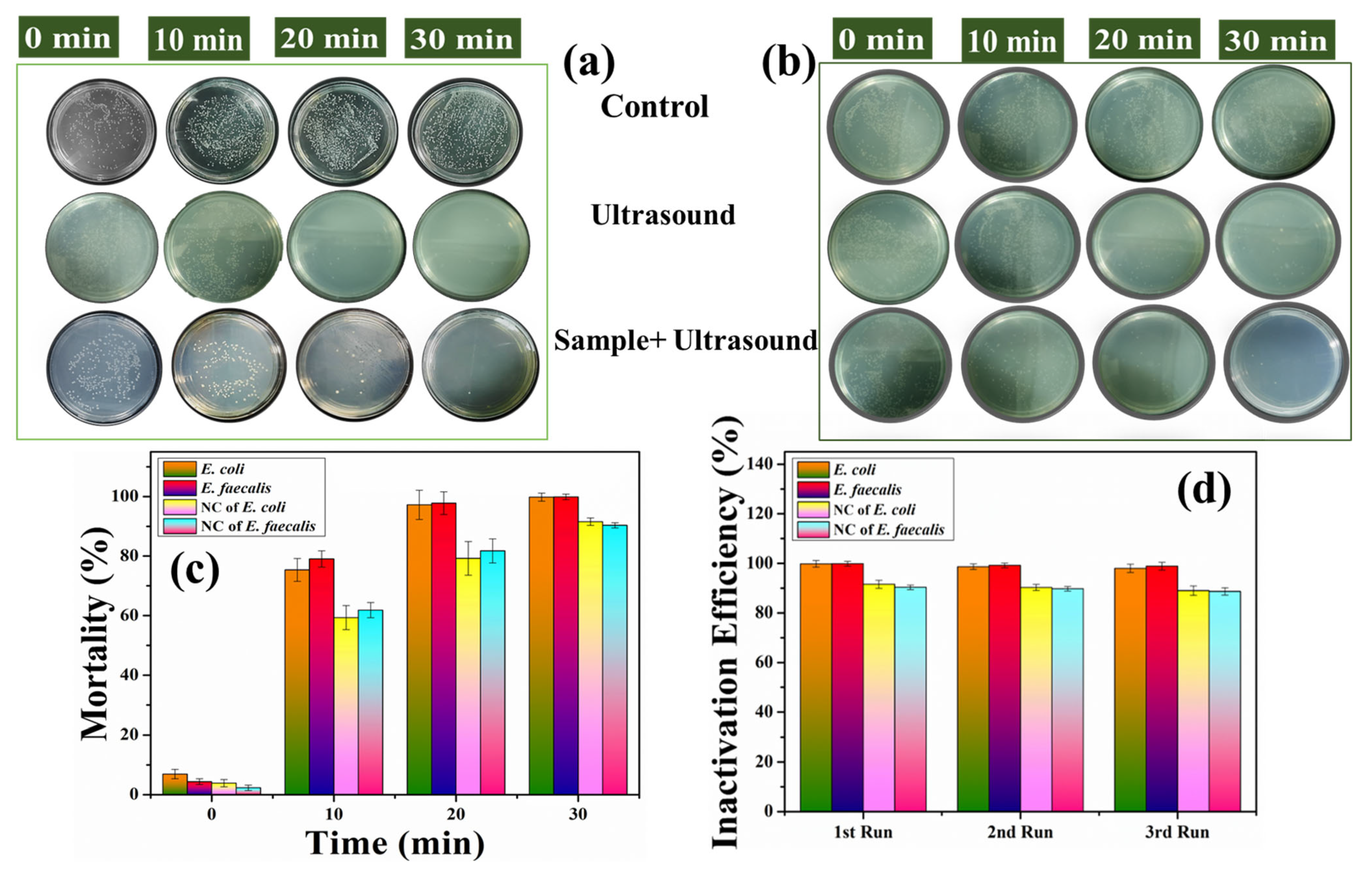 Pharmaceutics 15 02155 g007