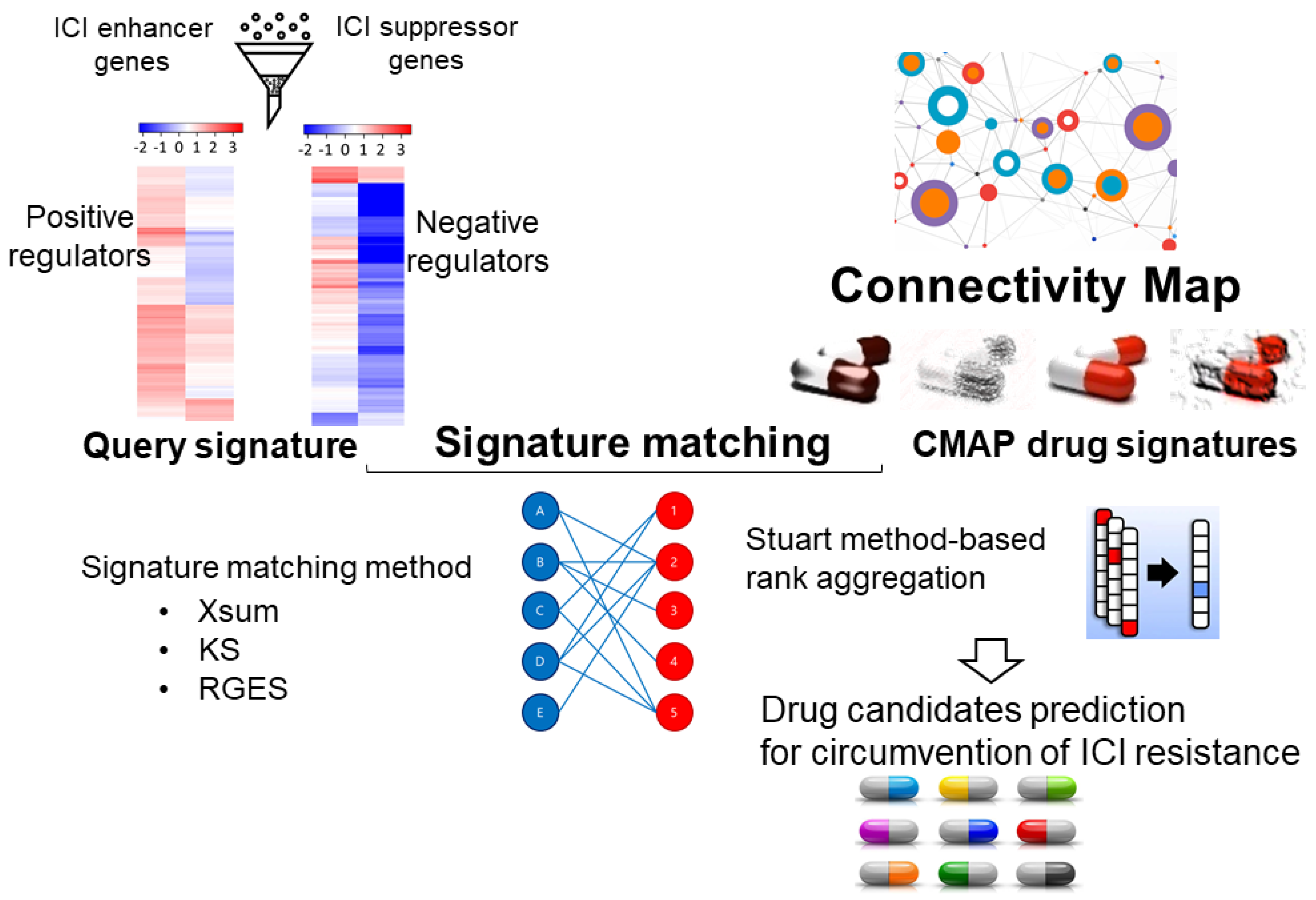 Pharmaceutics 15 02166 g002