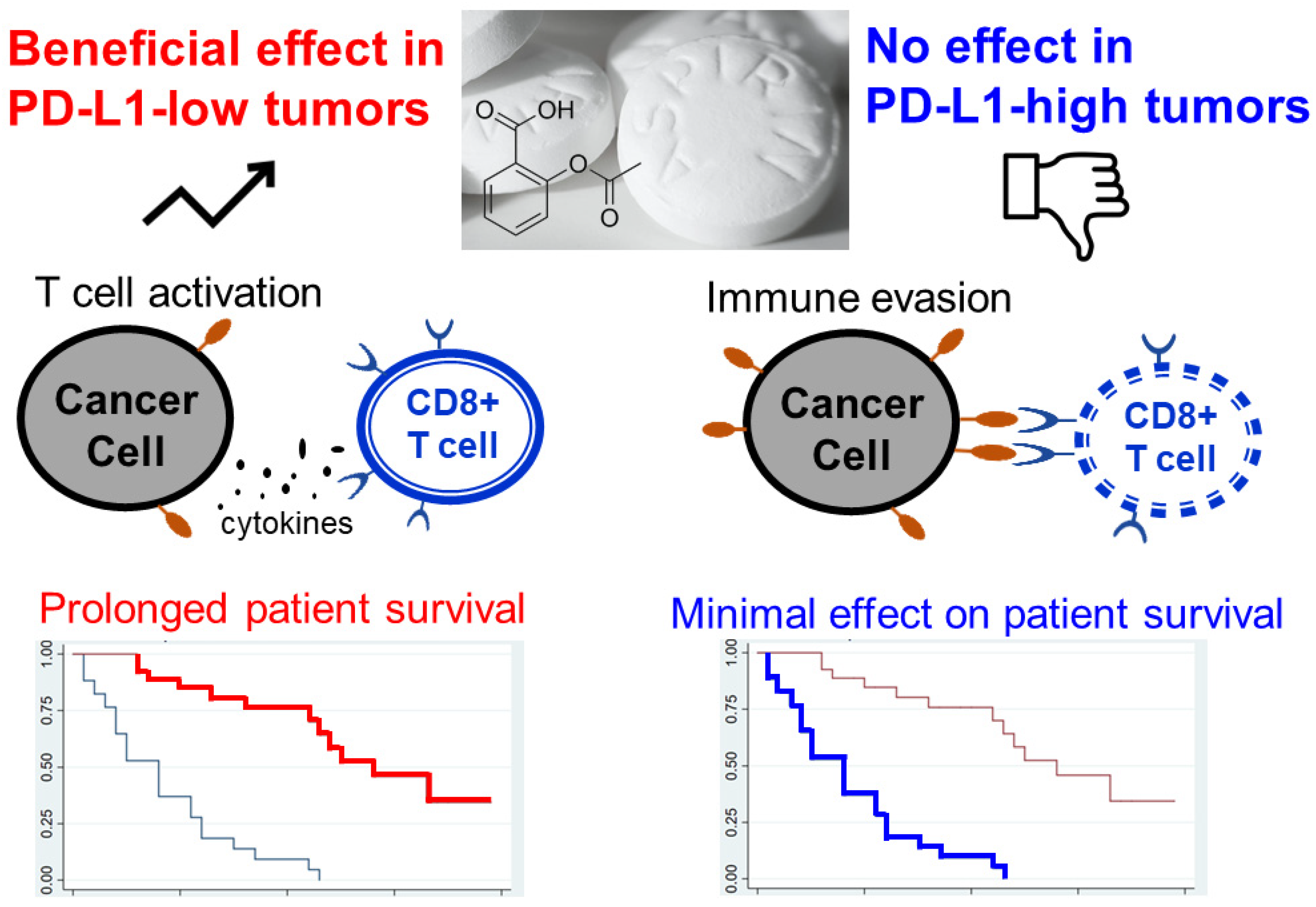 Pharmaceutics 15 02166 g006