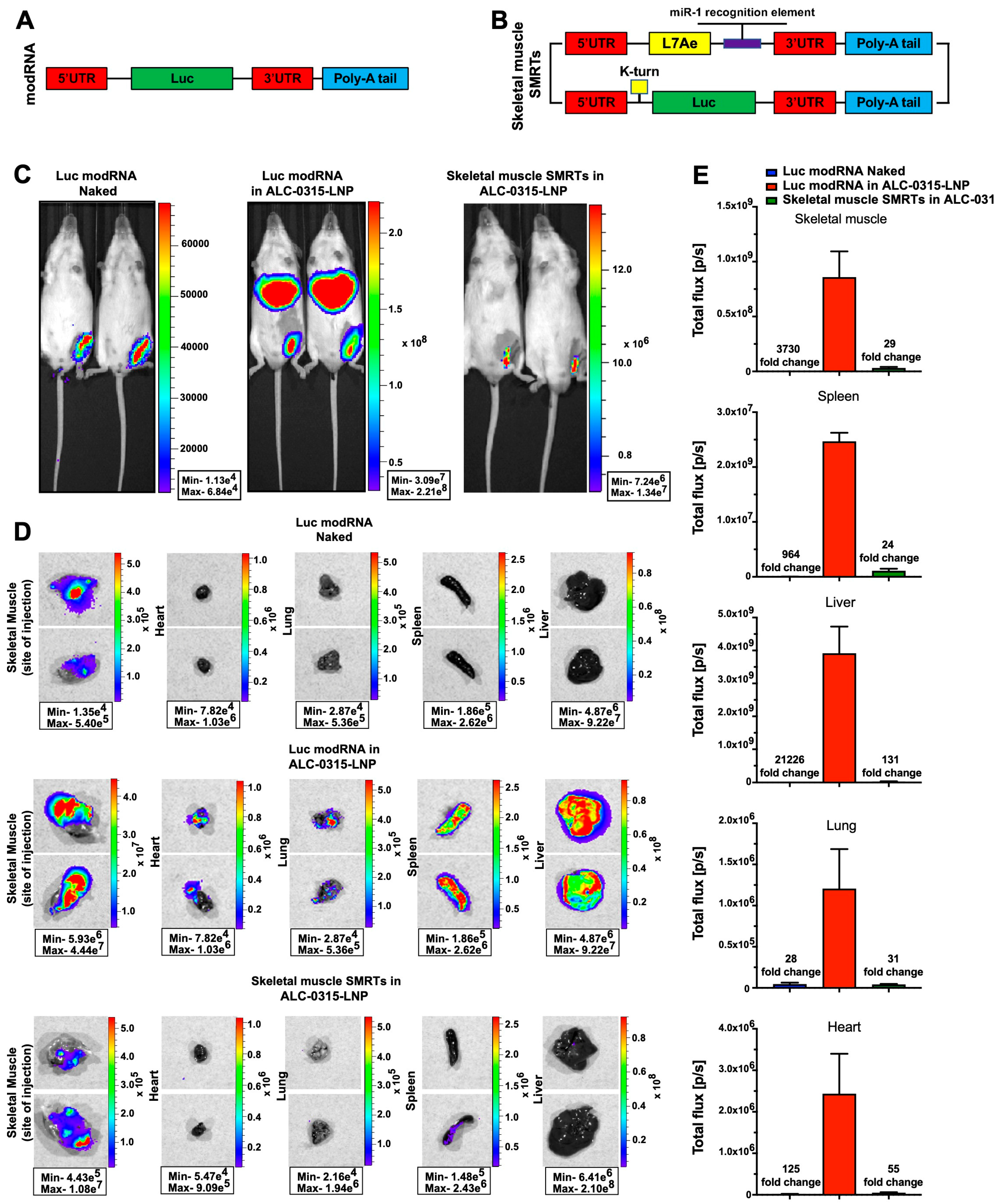 Pharmaceutics 15 02176 g004