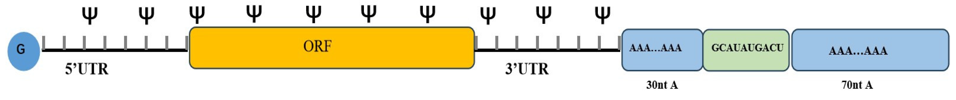 Pharmaceutics 15 02182 g004