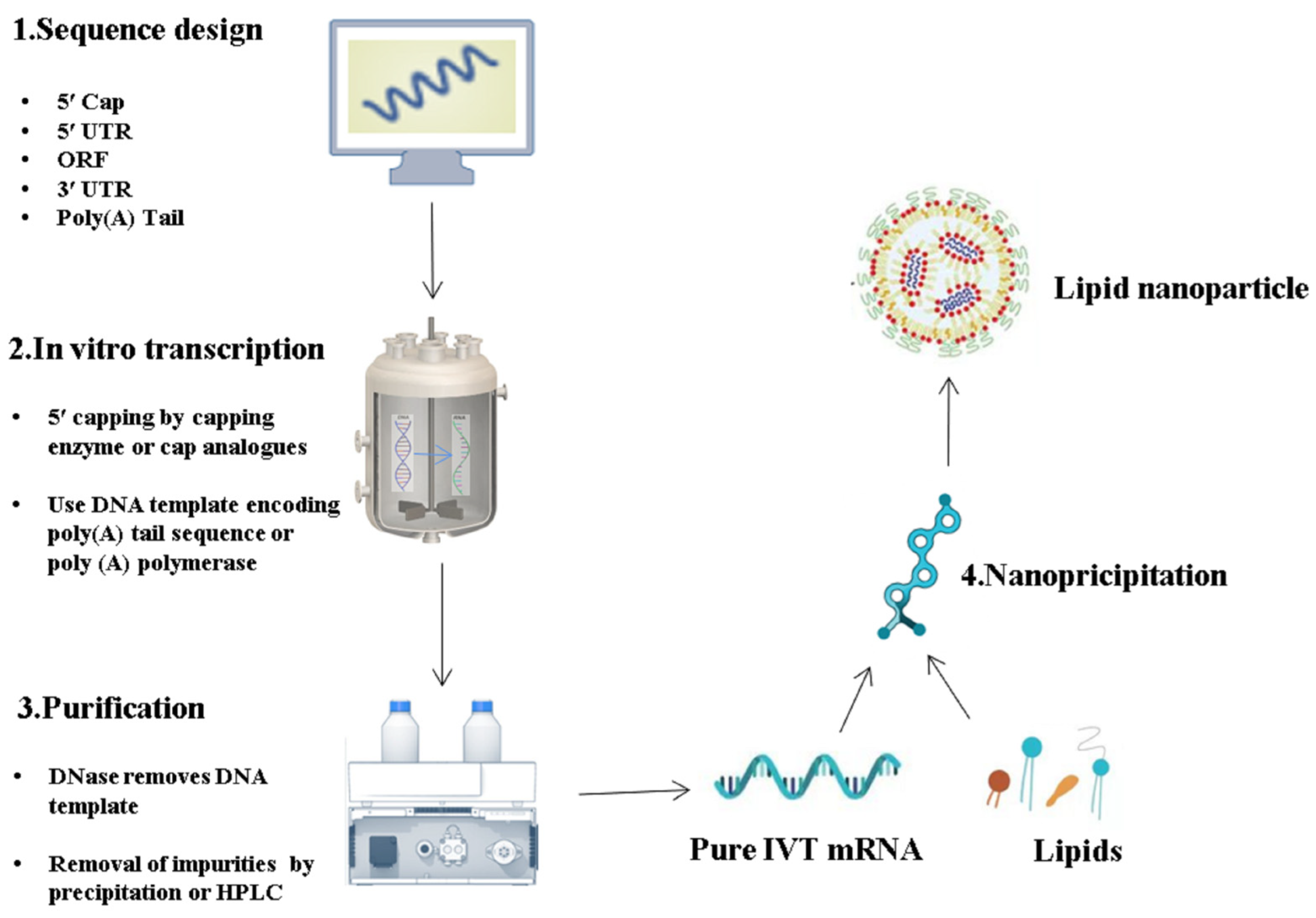 Pharmaceutics 15 02182 g005