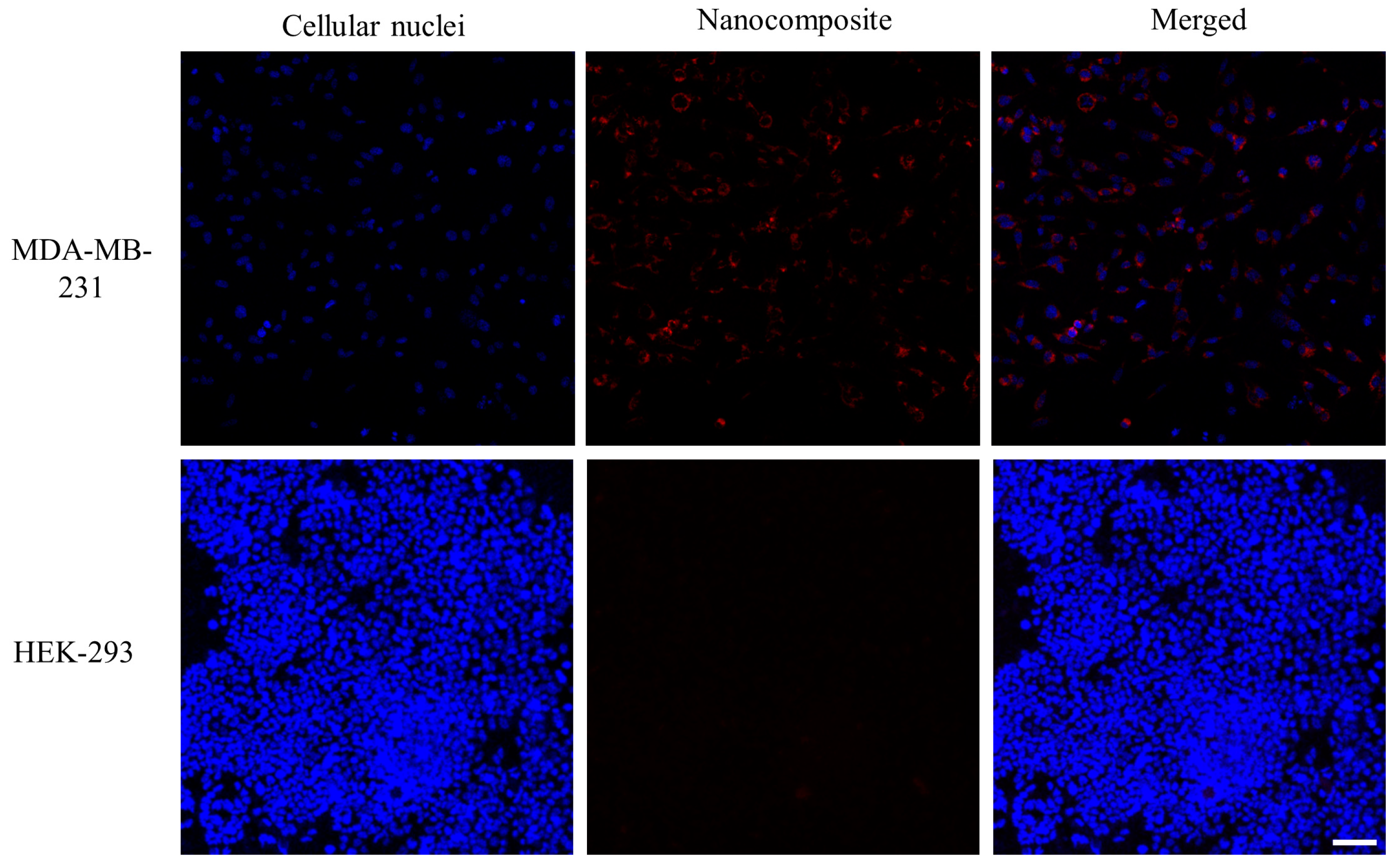 Pharmaceutics 15 02198 g006