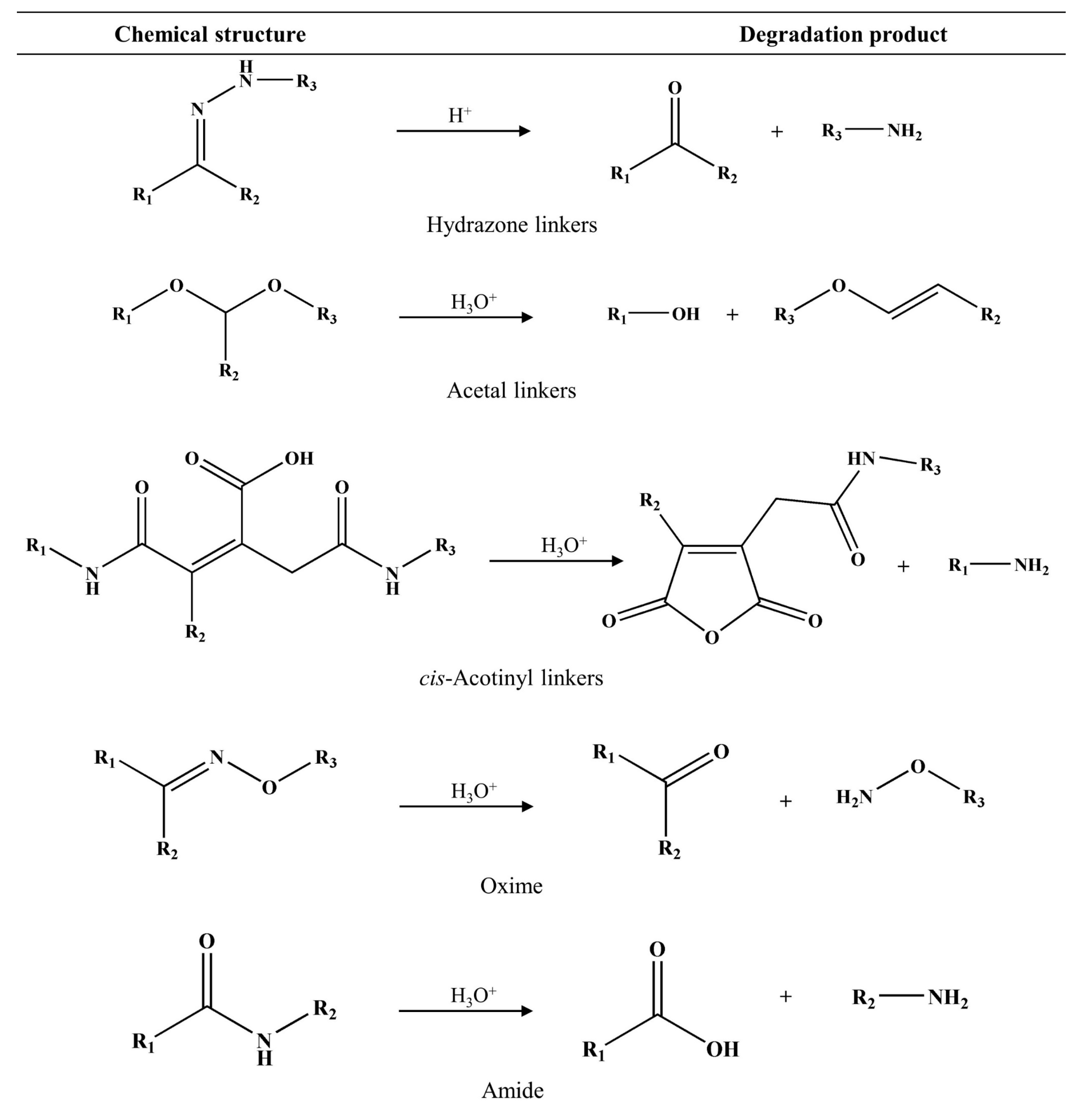 Pharmaceutics 15 02216 g009 Pharmaceutics 15 02216 g009