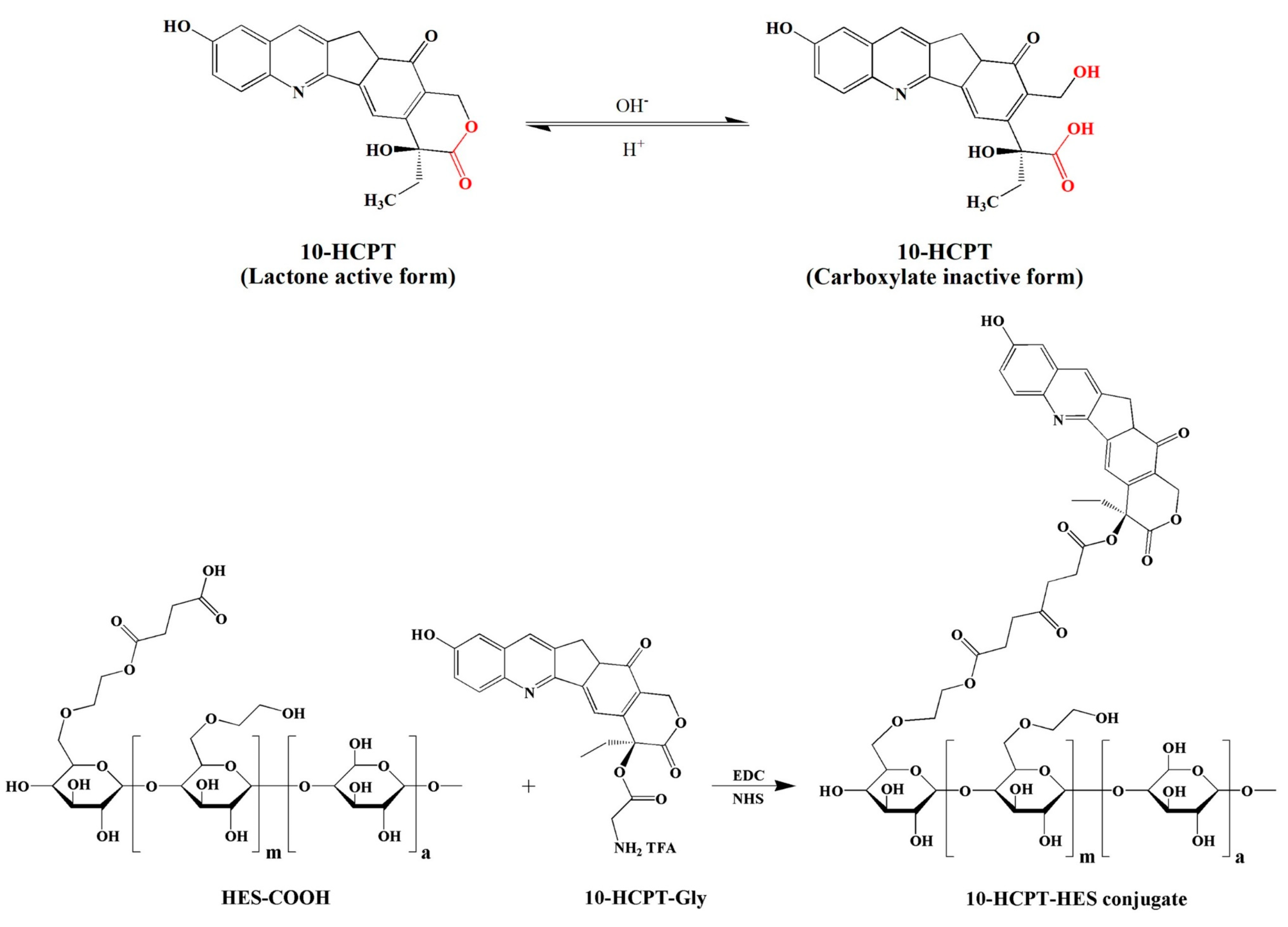 Pharmaceutics 15 02216 g011 Pharmaceutics 15 02216 g011