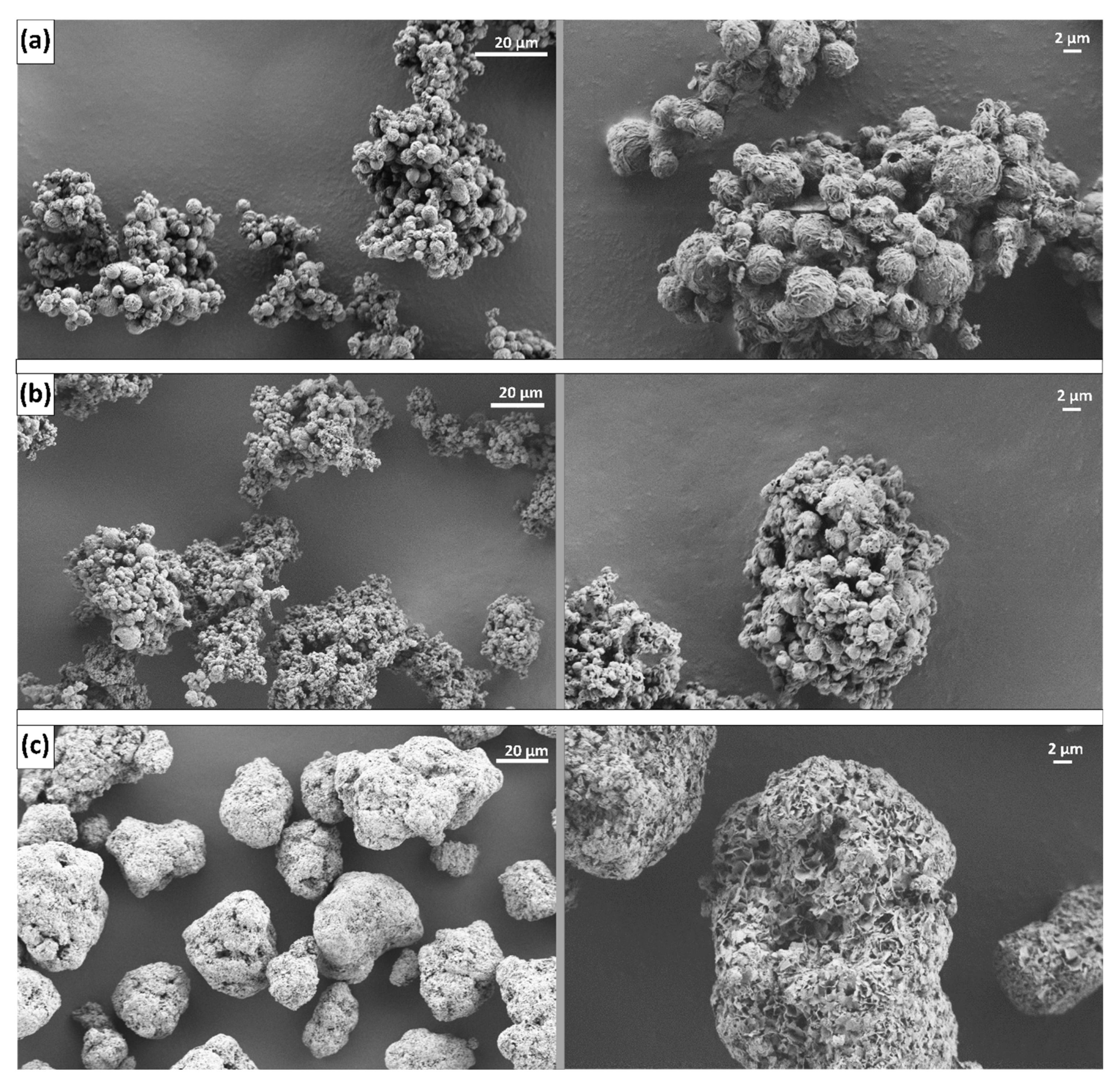 Pharmaceutics 15 02221 g002