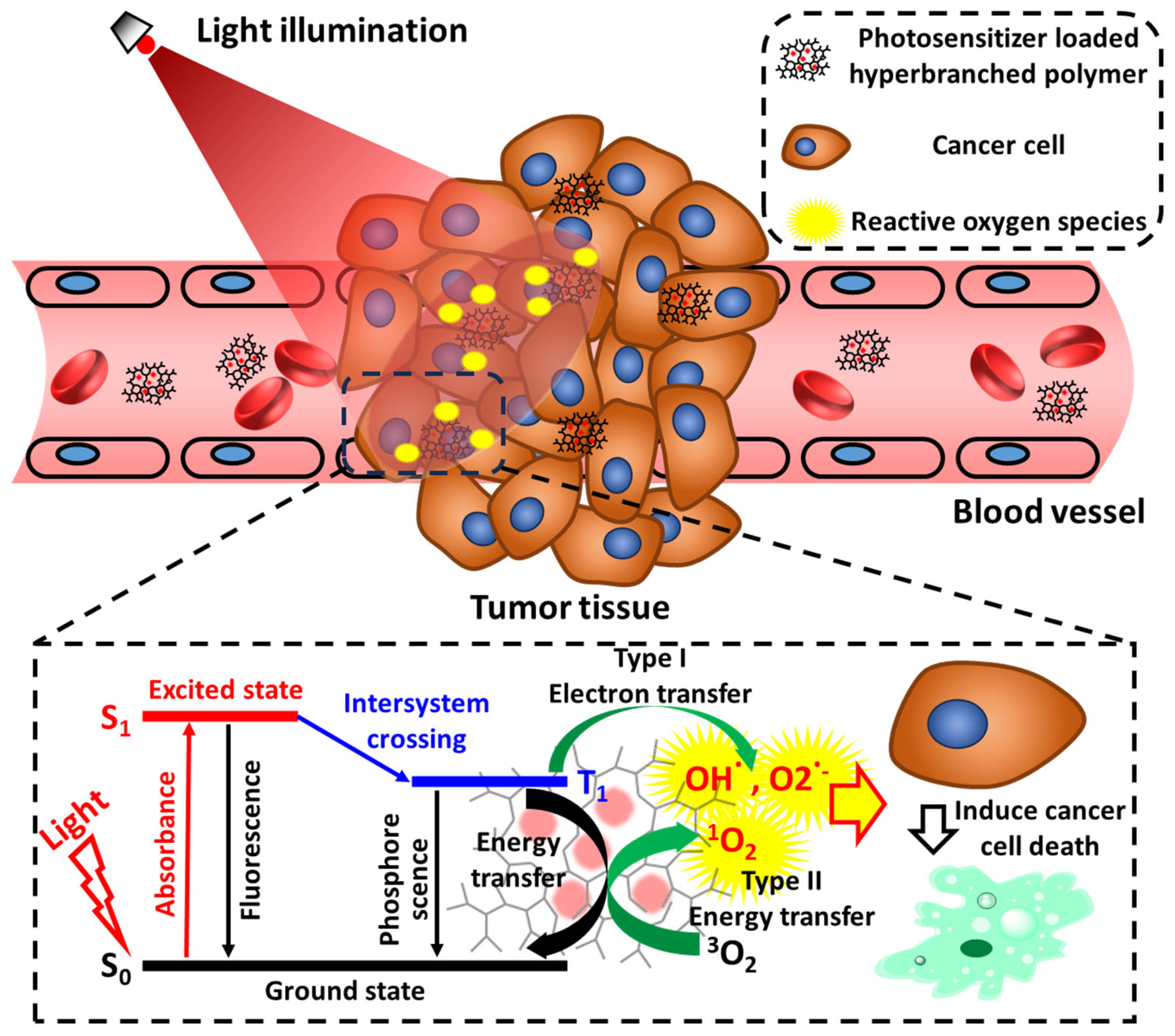 Polymer–drug conjugate therapeutics: advances, insights and