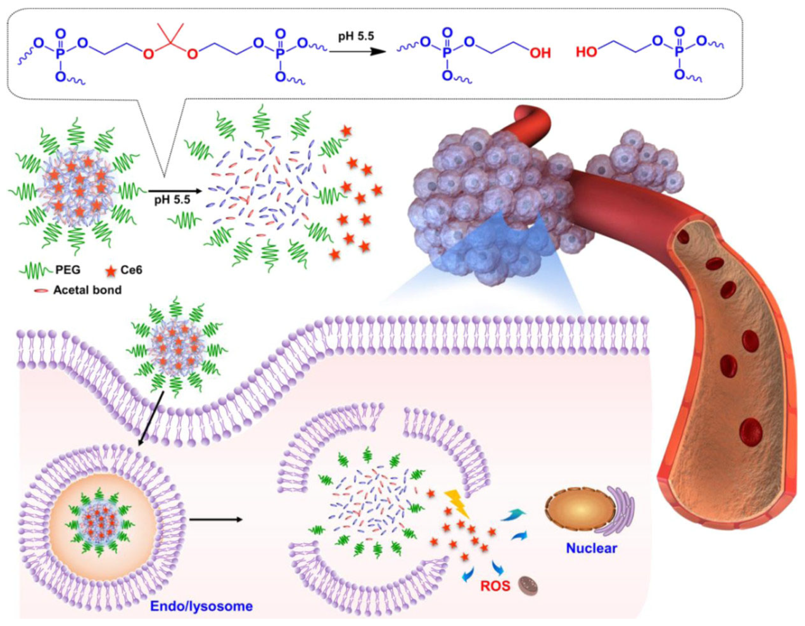 Pharmaceutics 15 02222 g004