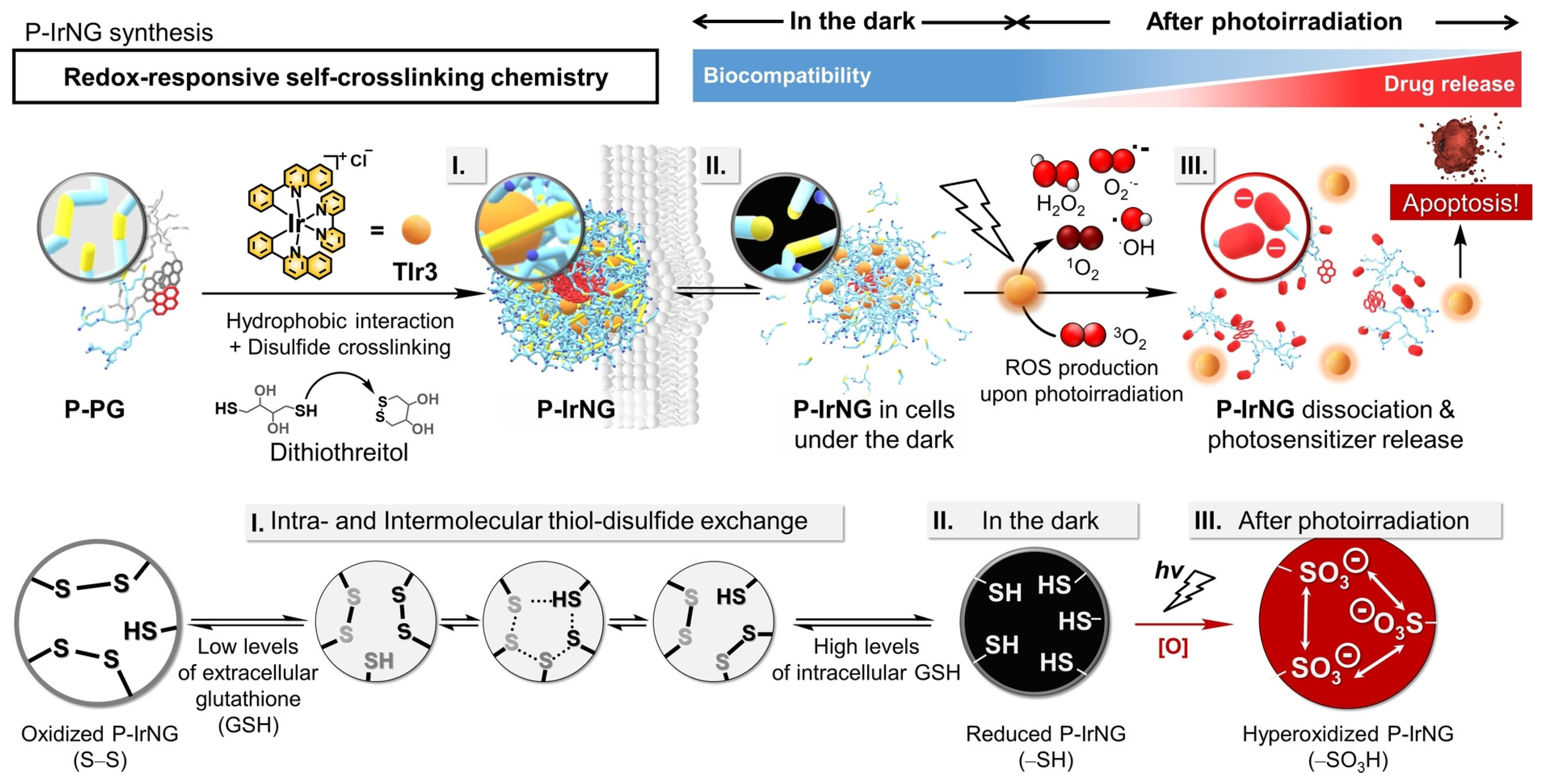 Pharmaceutics 15 02222 g005