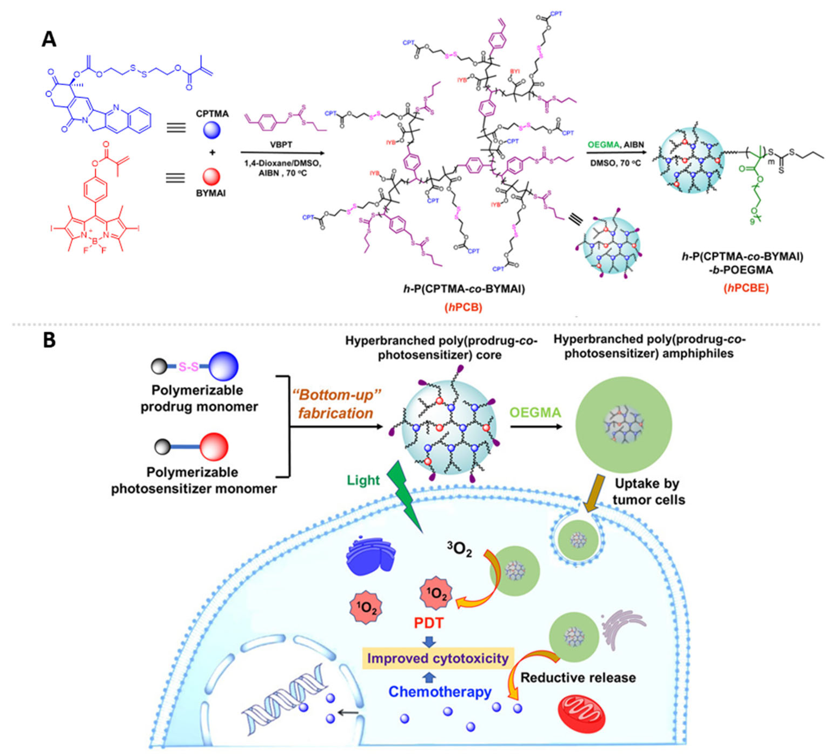 Pharmaceutics 15 02222 g014