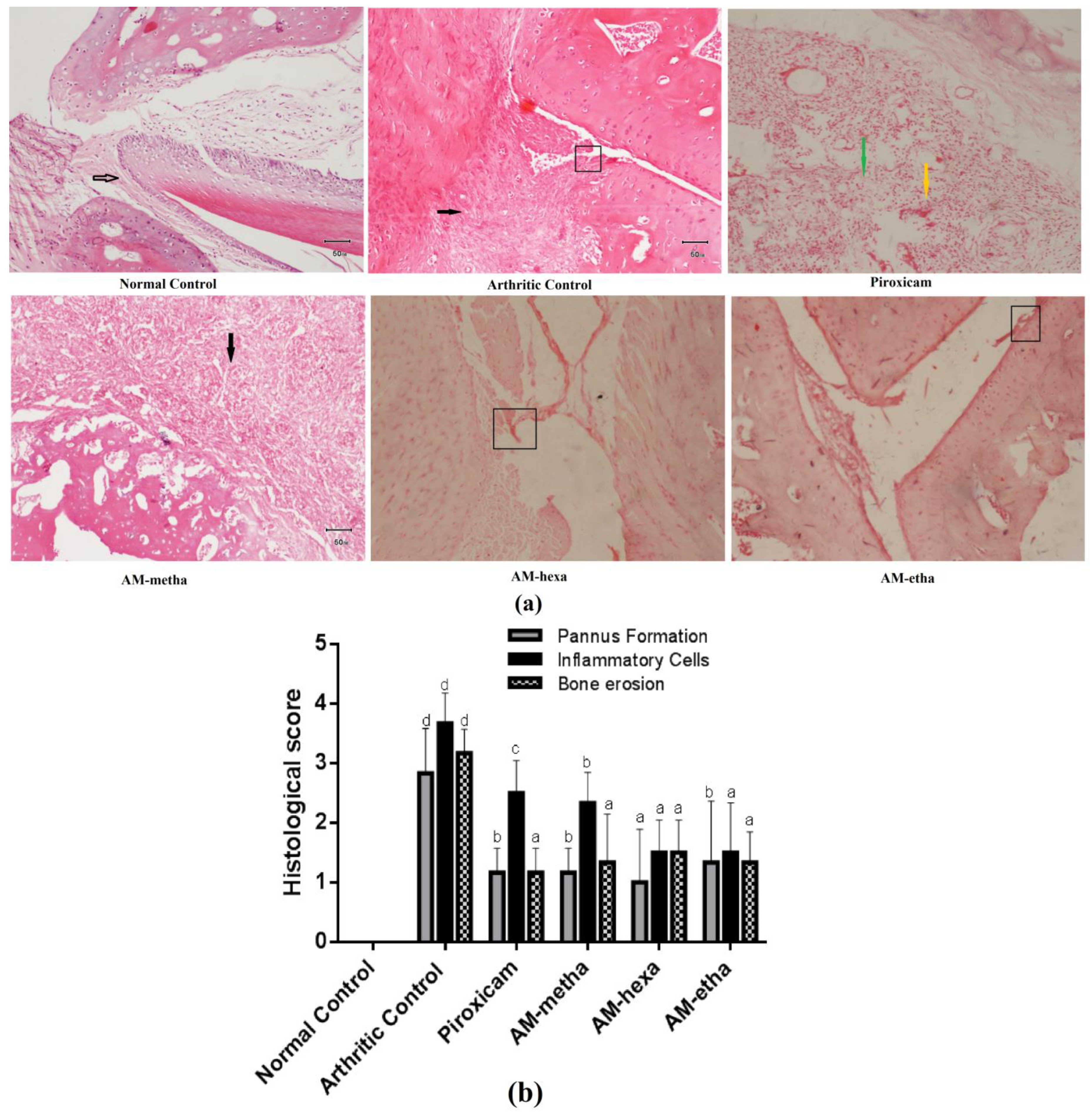 Pharmaceutics 15 02228 g002 Pharmaceutics 15 02228 g002