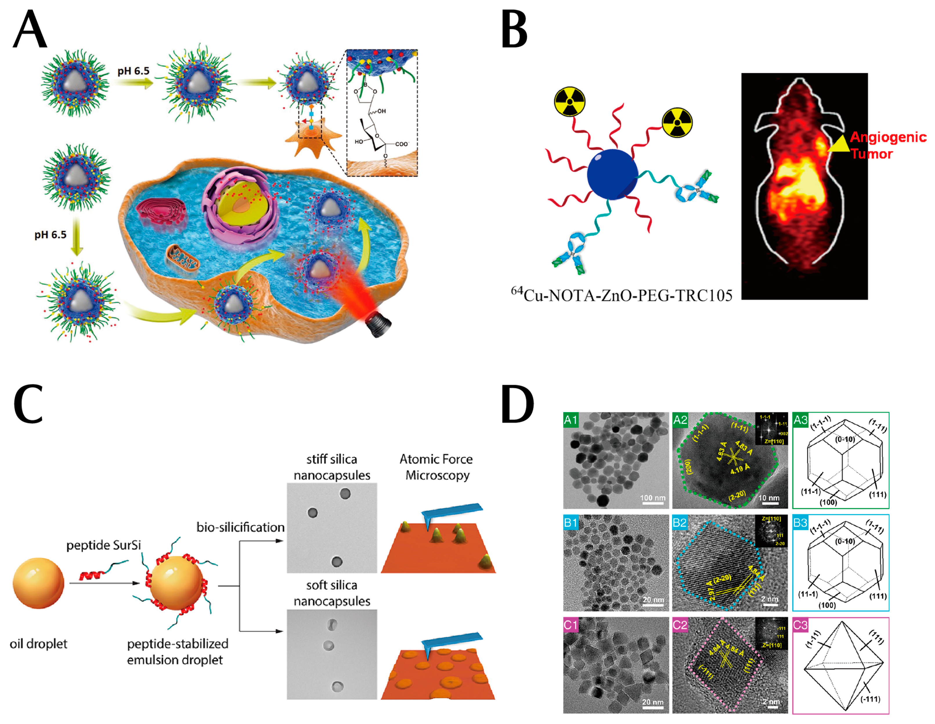 Pharmaceutics 15 02233 g004