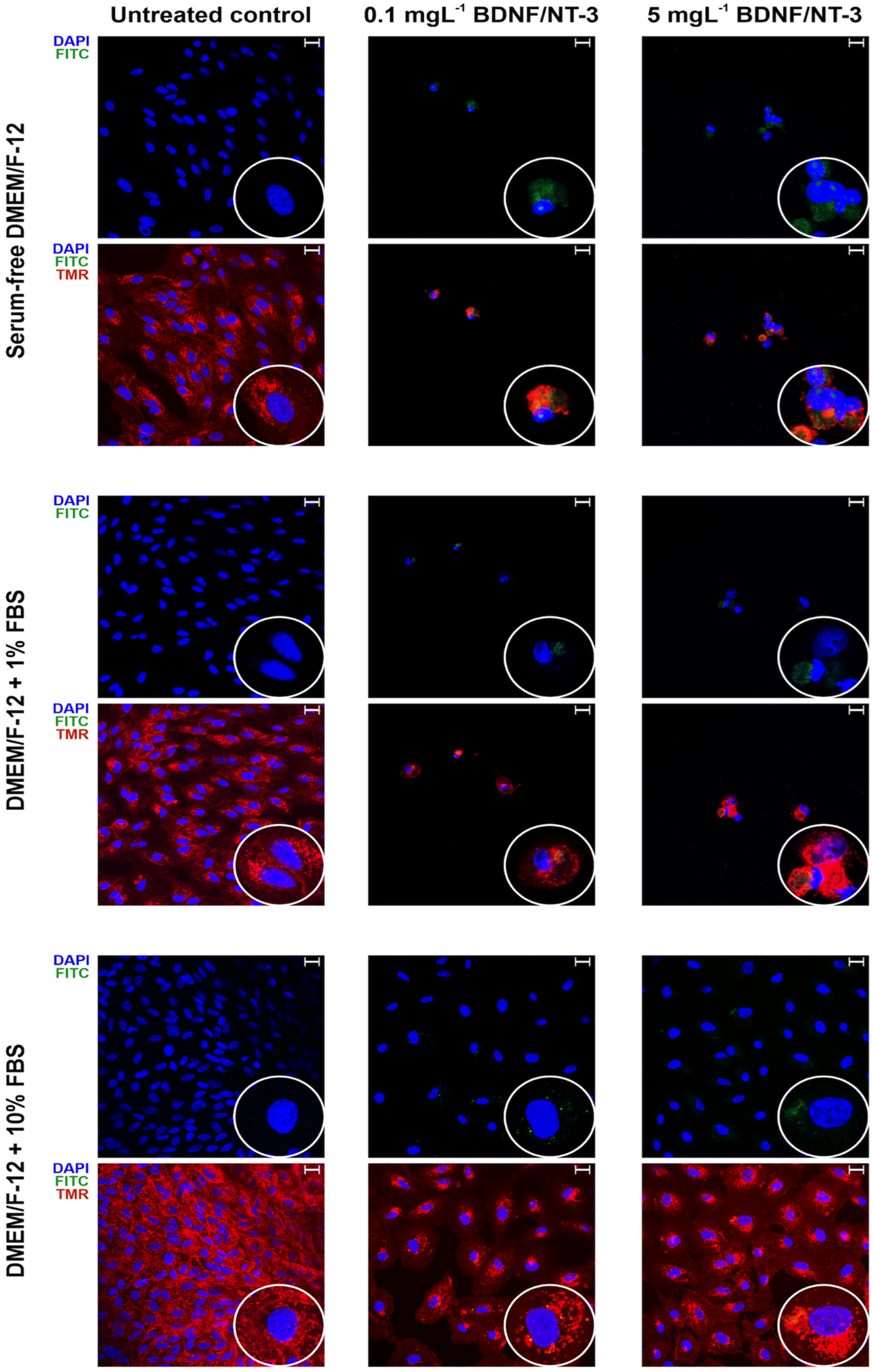 Pharmaceutics 15 02236 g009
