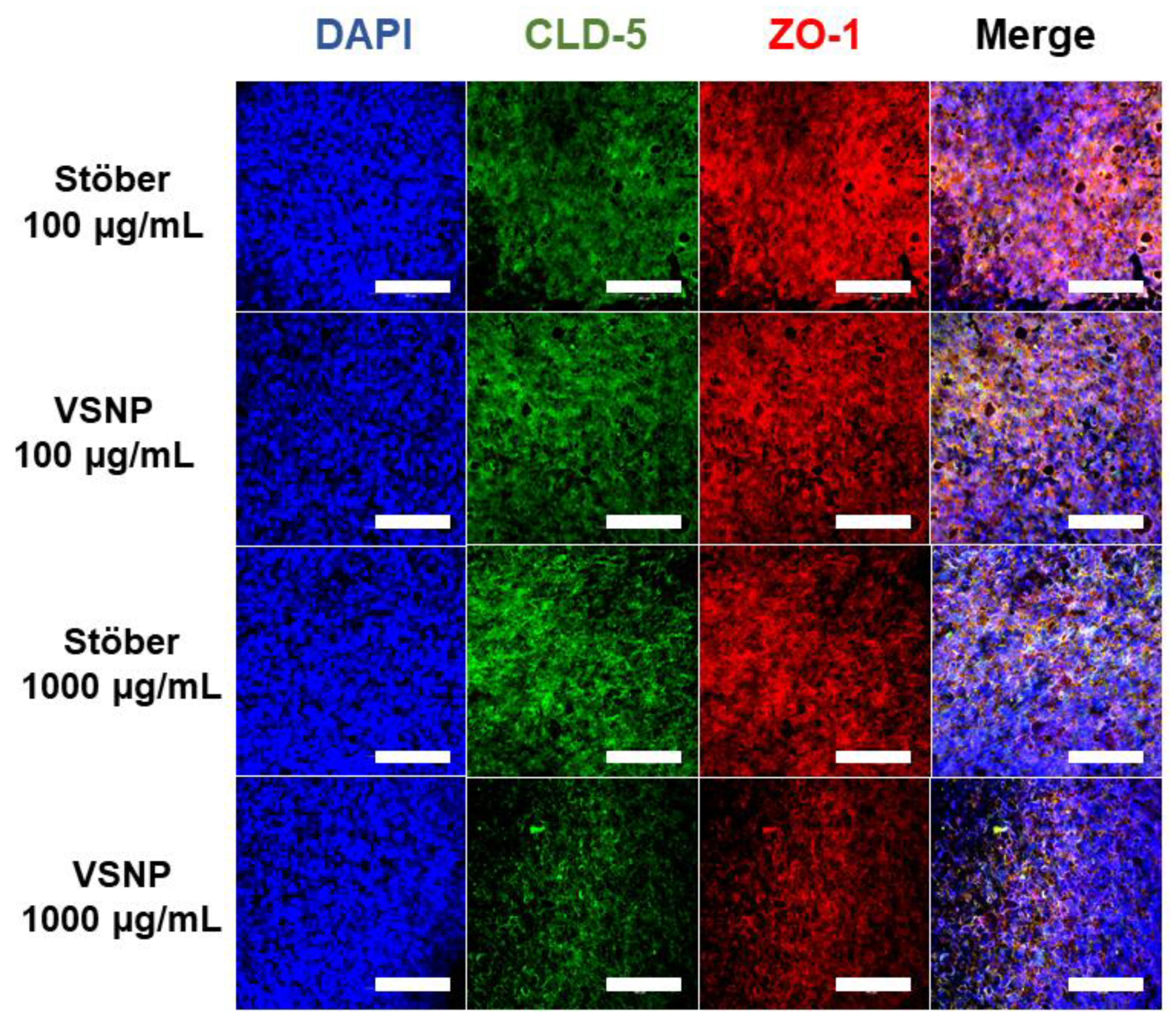 Pharmaceutics 15 02239 g004