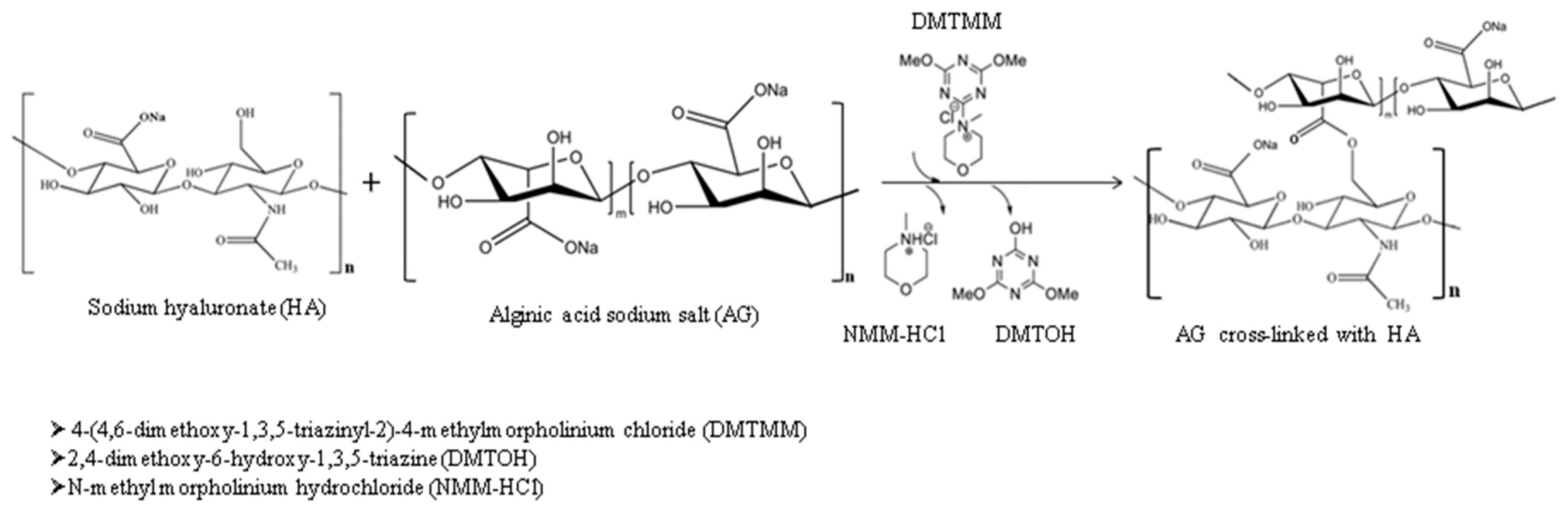 Pharmaceutics 15 02240 g001