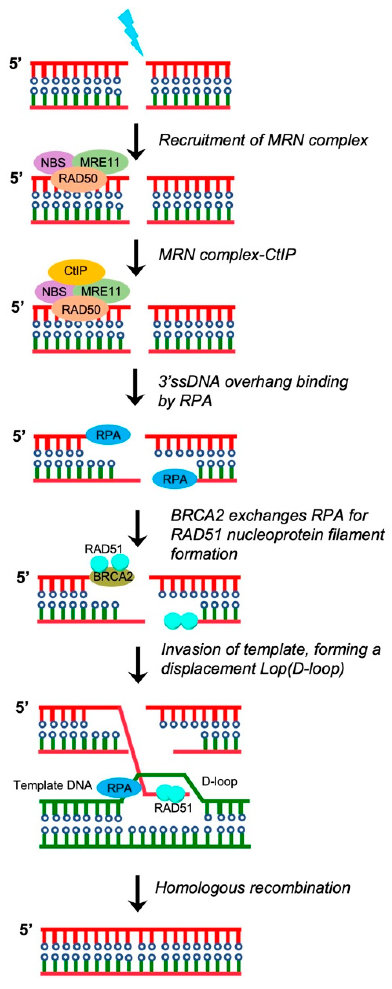 Pharmaceutics 15 02241 g002