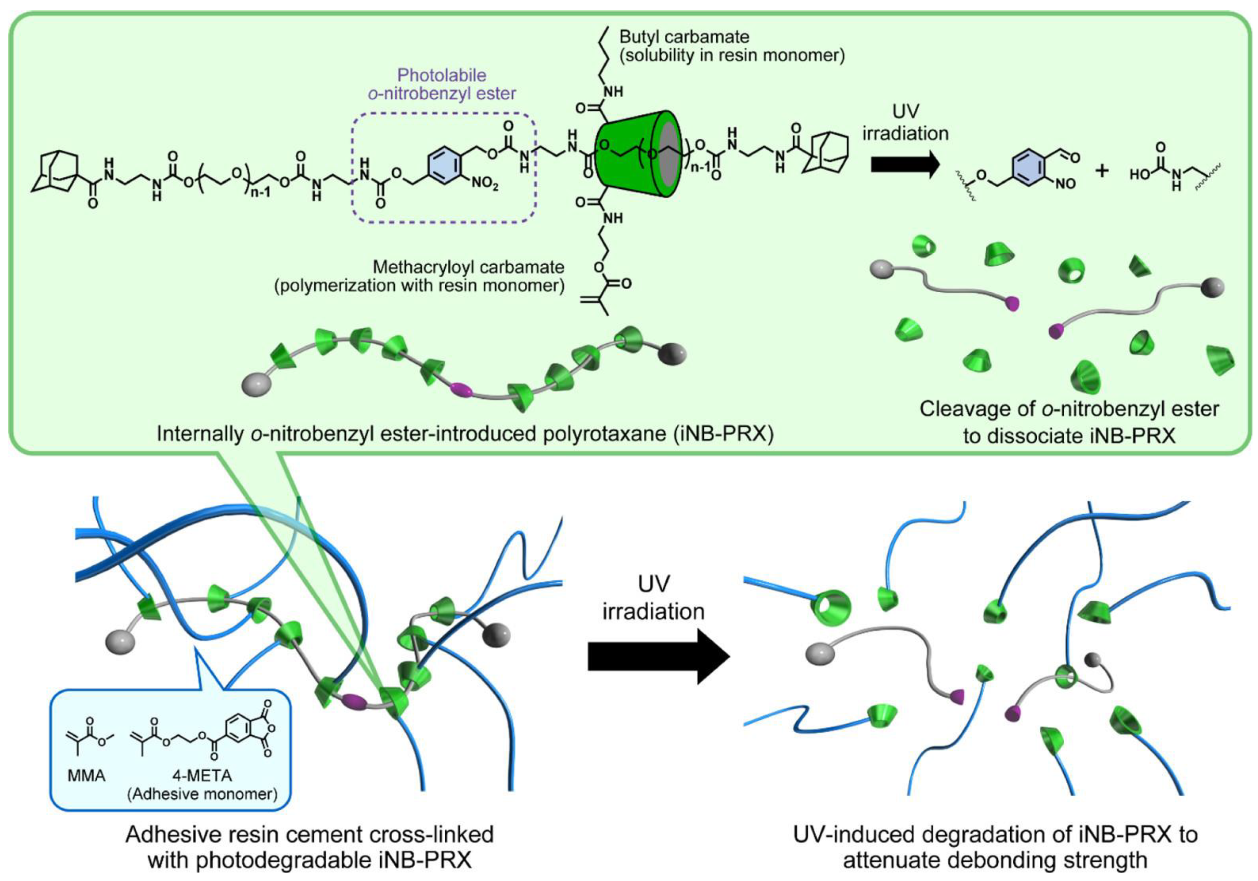Pharmaceutics 15 02251 g003 Pharmaceutics 15 02251 g003